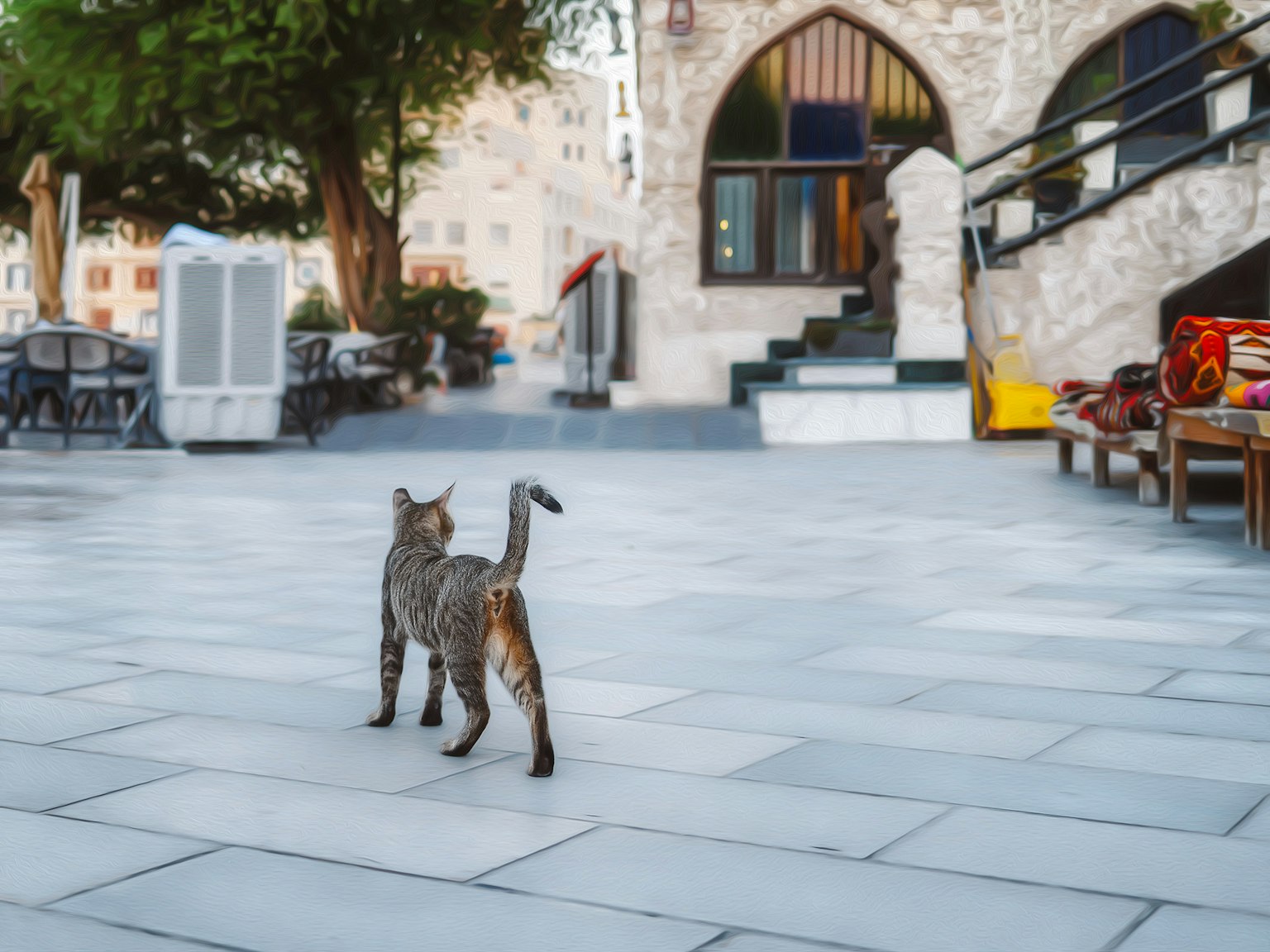 Un gatto che cammina in una piazza con architettura in pietra