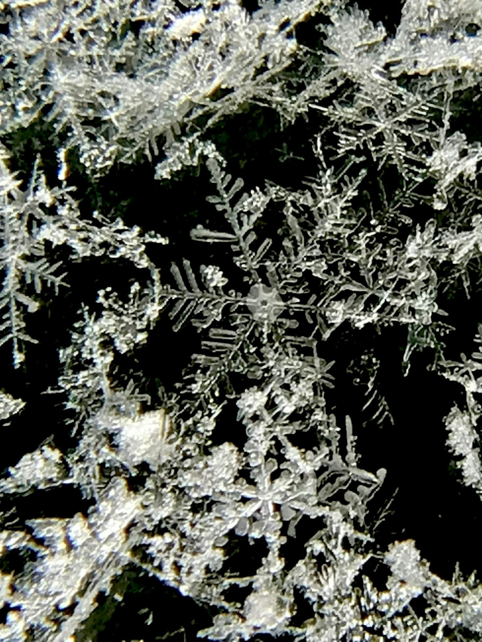 Primo piano dettagliato di fiocchi di neve sparsi su uno sfondo nero