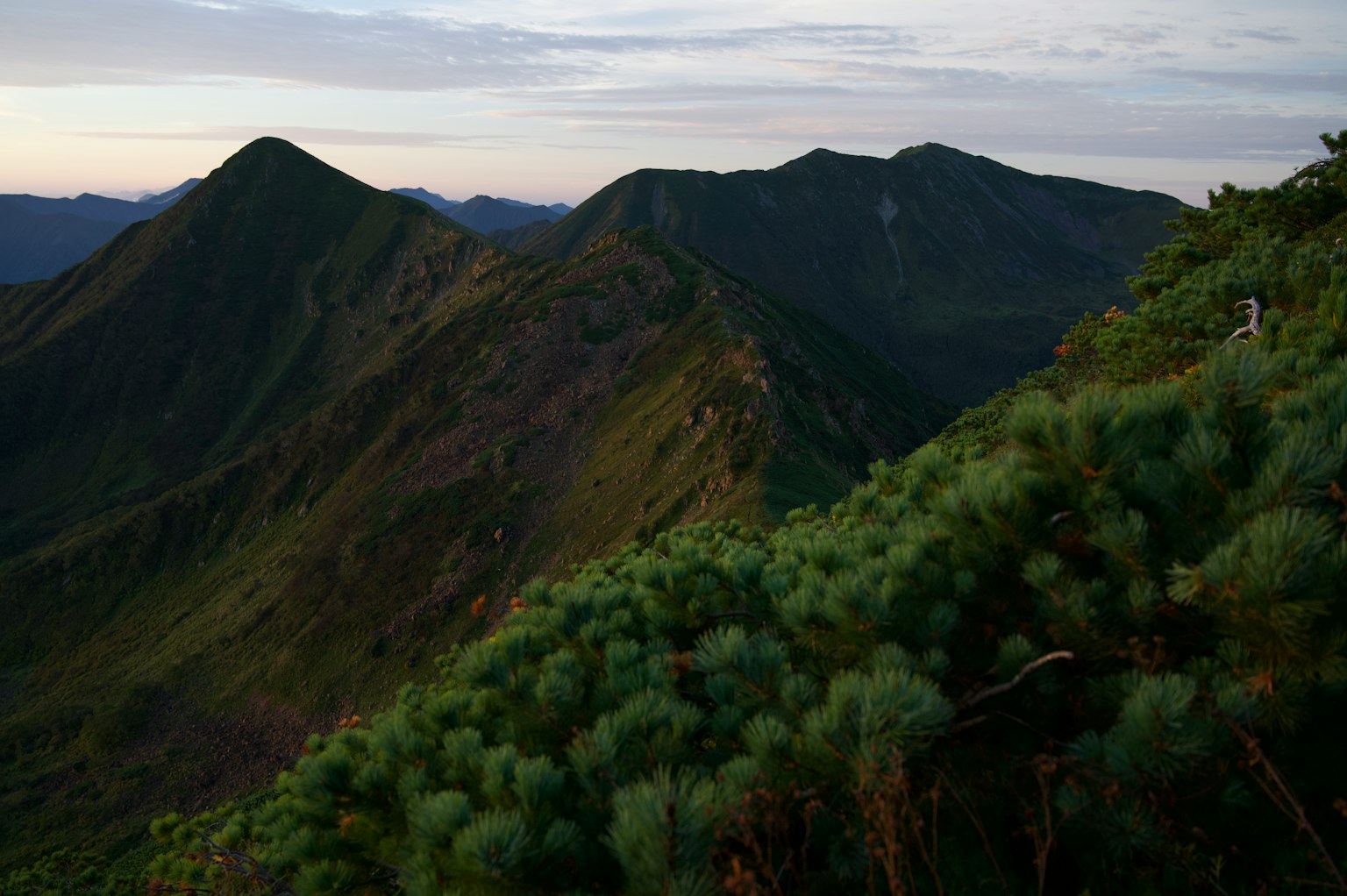 Paysage avec des montagnes et une végétation luxuriante