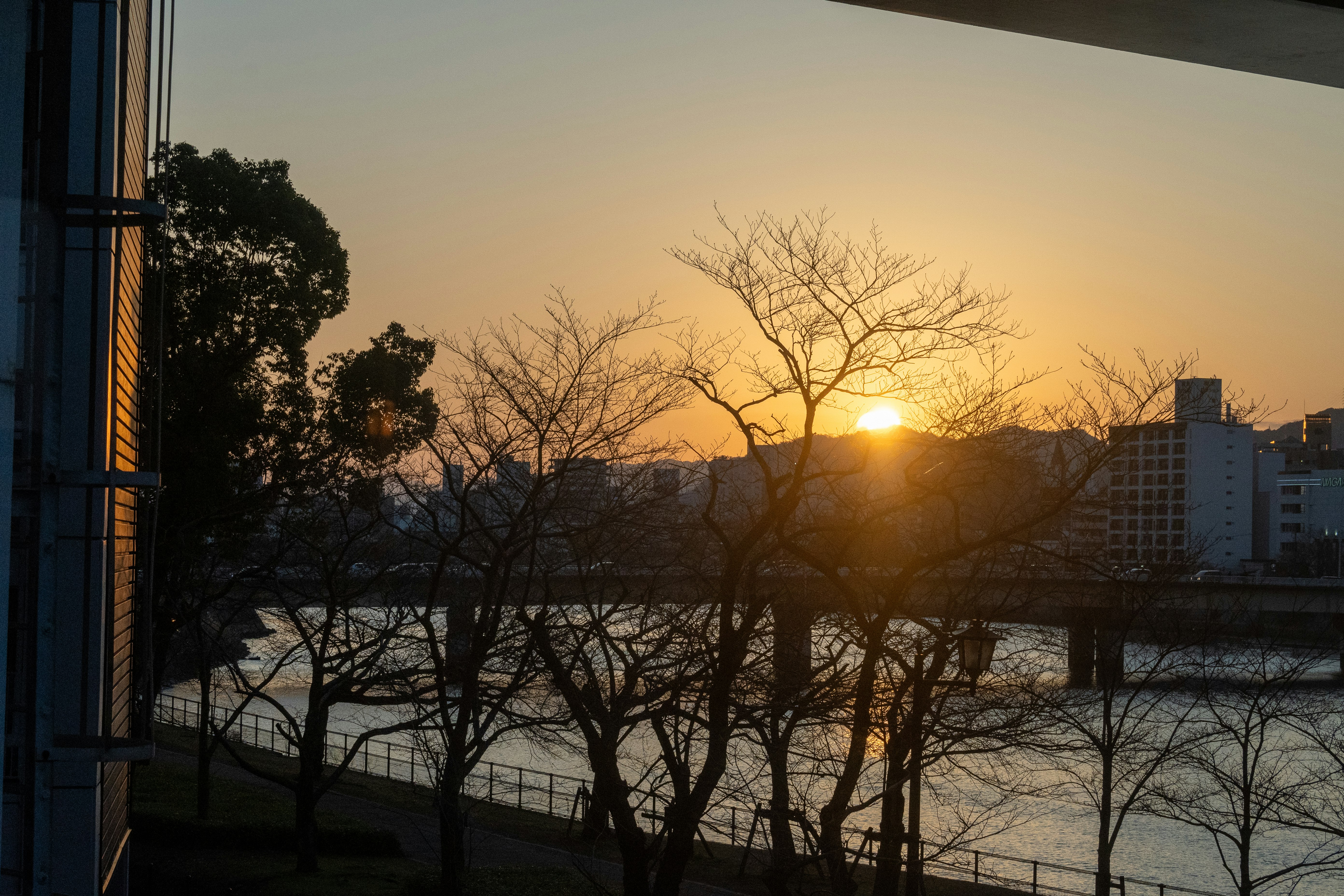 夕陽照耀的河岸樹木與城市天際線