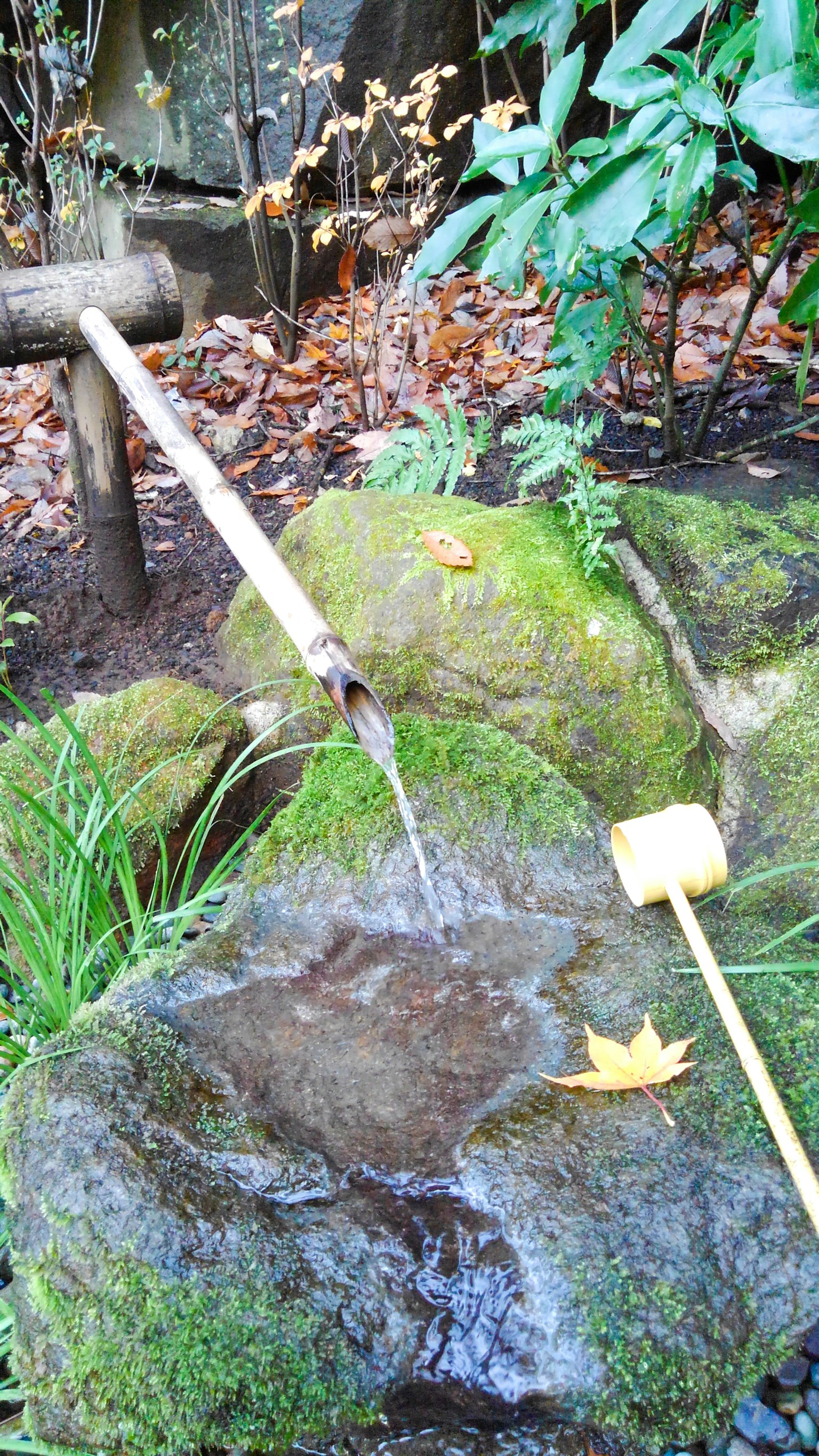 Bambuswasserfluss, der über einen Stein in einem Garten fließt