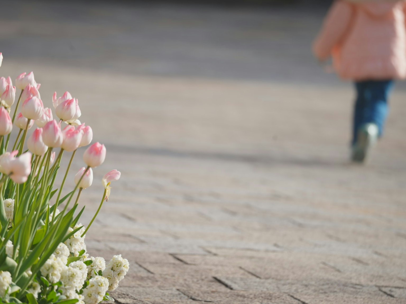 Kind, das auf einem Parkweg mit blühenden Blumen geht
