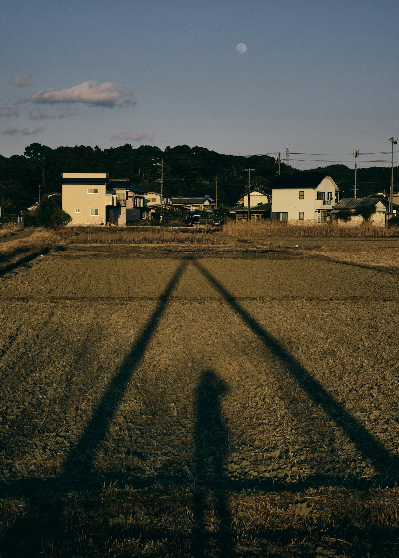 Silhouette d'une personne dans un champ de riz avec des maisons et la lune en arrière-plan