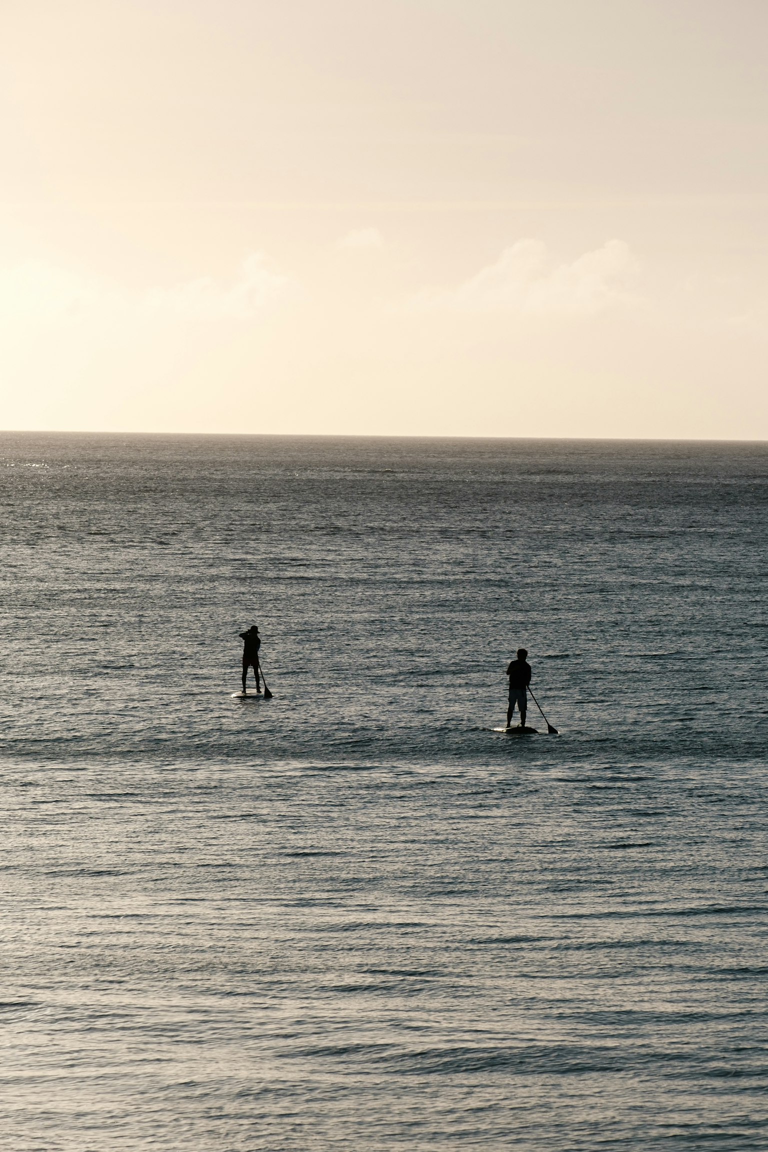 两个人在海上享受立式划水