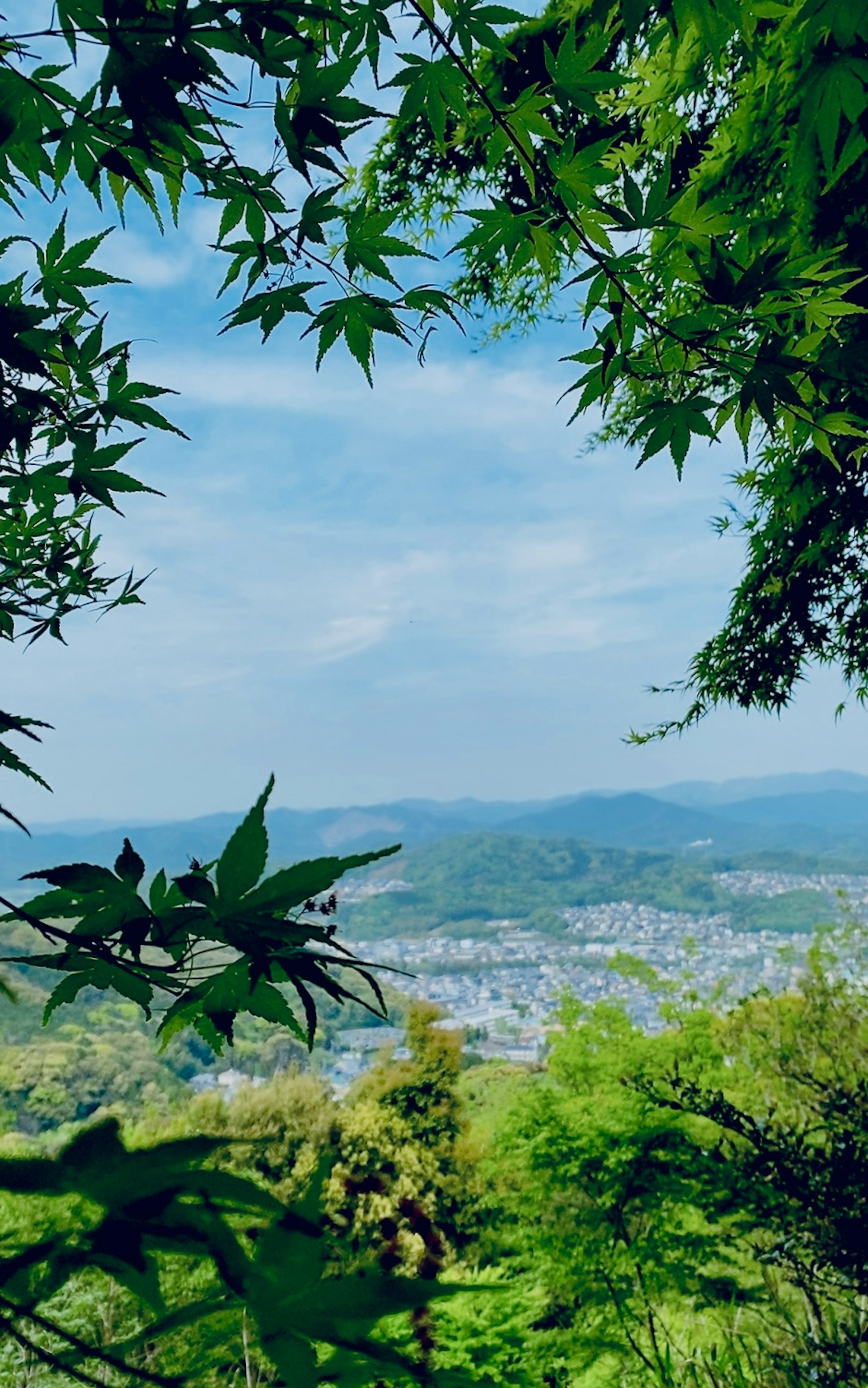 Vue panoramique des montagnes et de la ville encadrée par des feuilles vertes avec ciel bleu et nuages