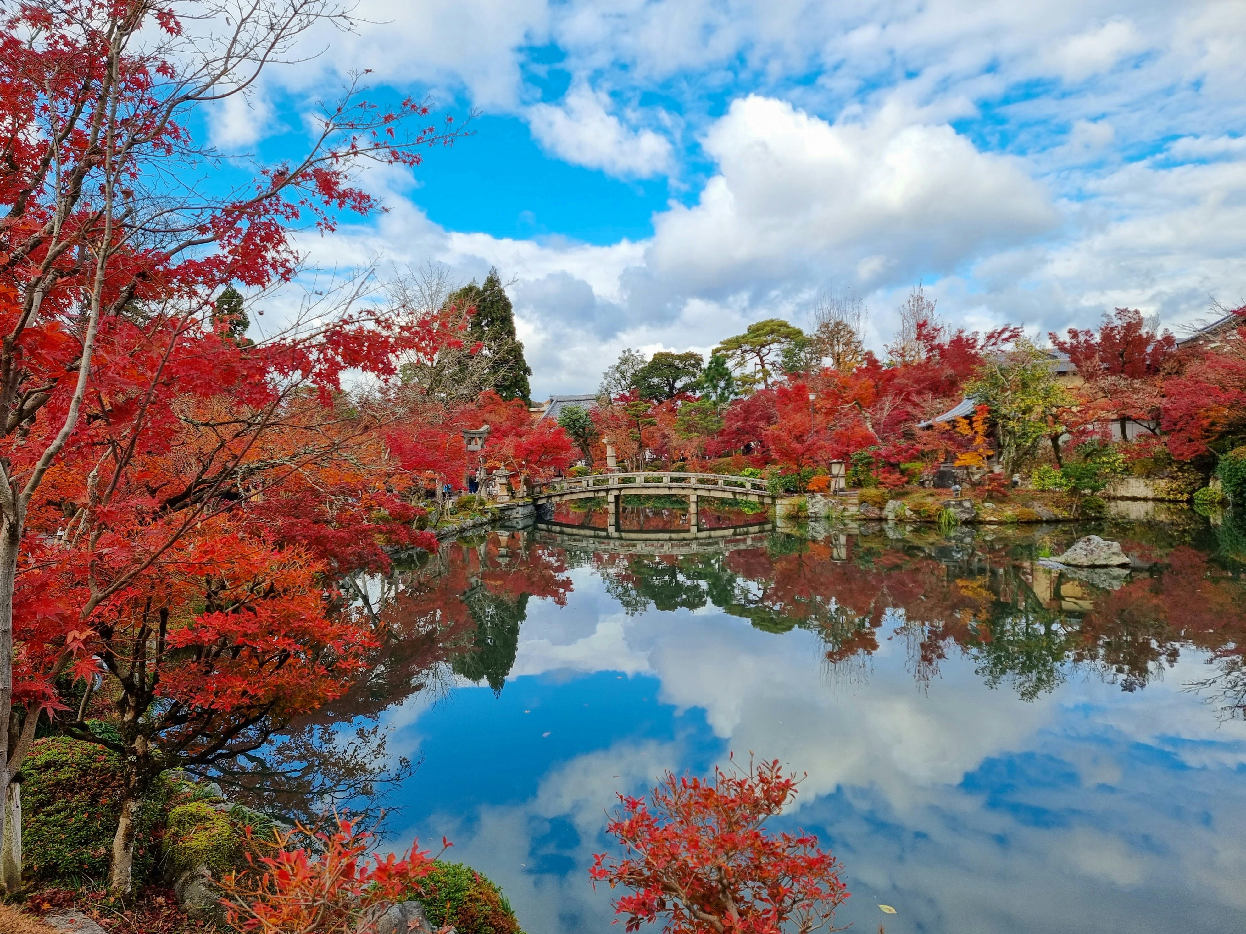 紅色秋葉樹木與池水映照天空的景色