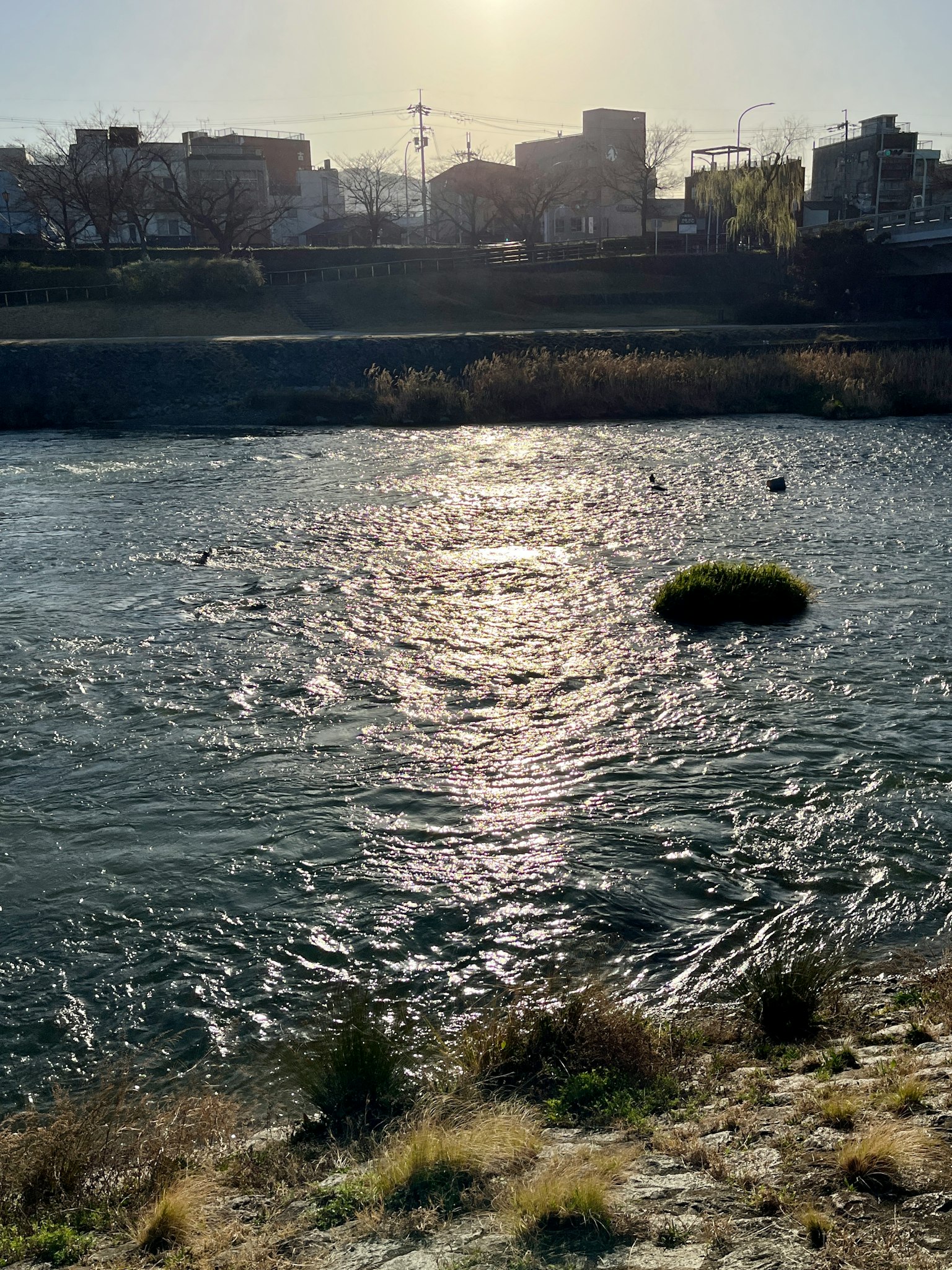 Rivière avec reflet du soleil et arrière-plan urbain