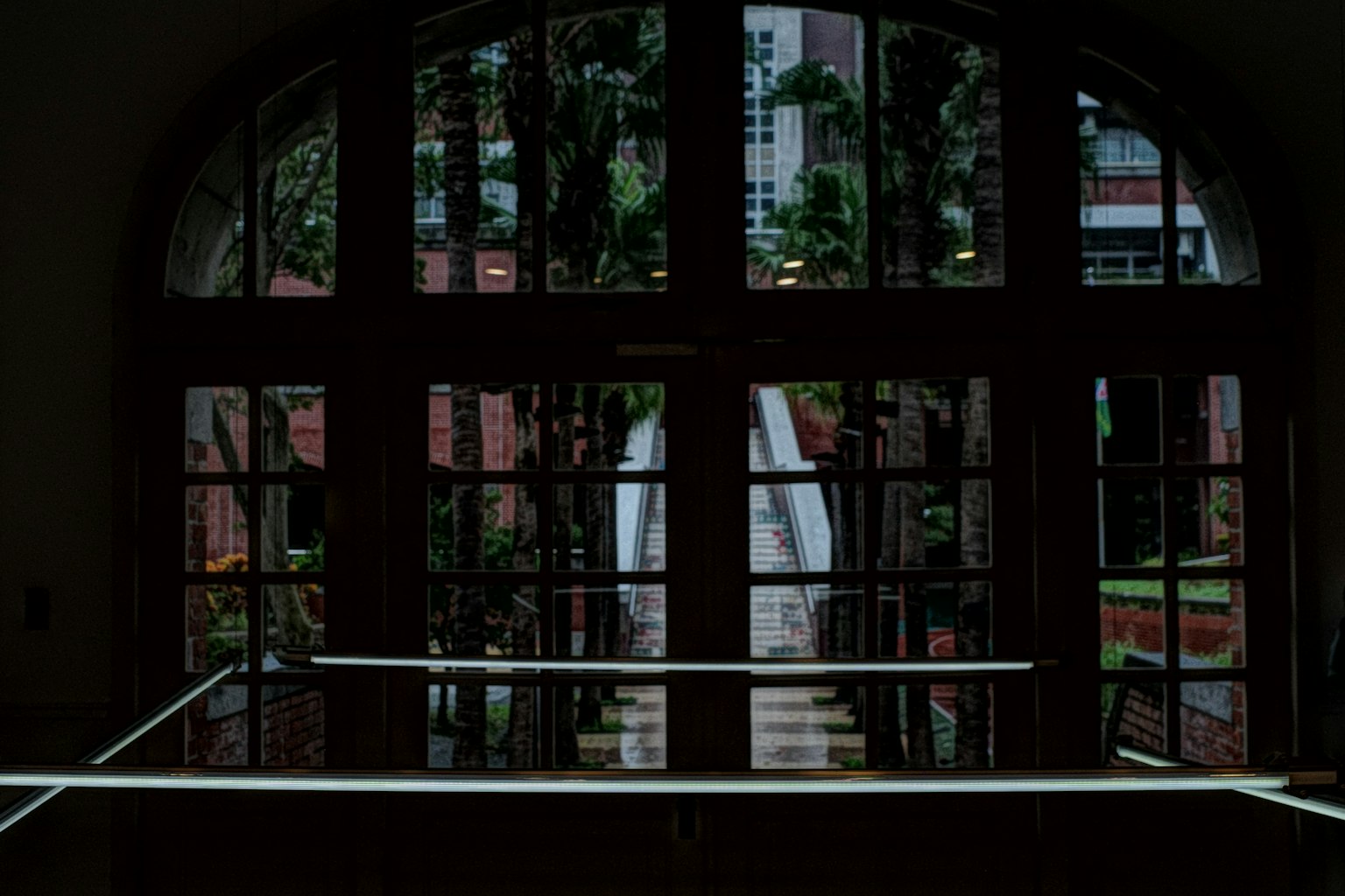 暗い室内から見える大きな窓と緑の植物の景色