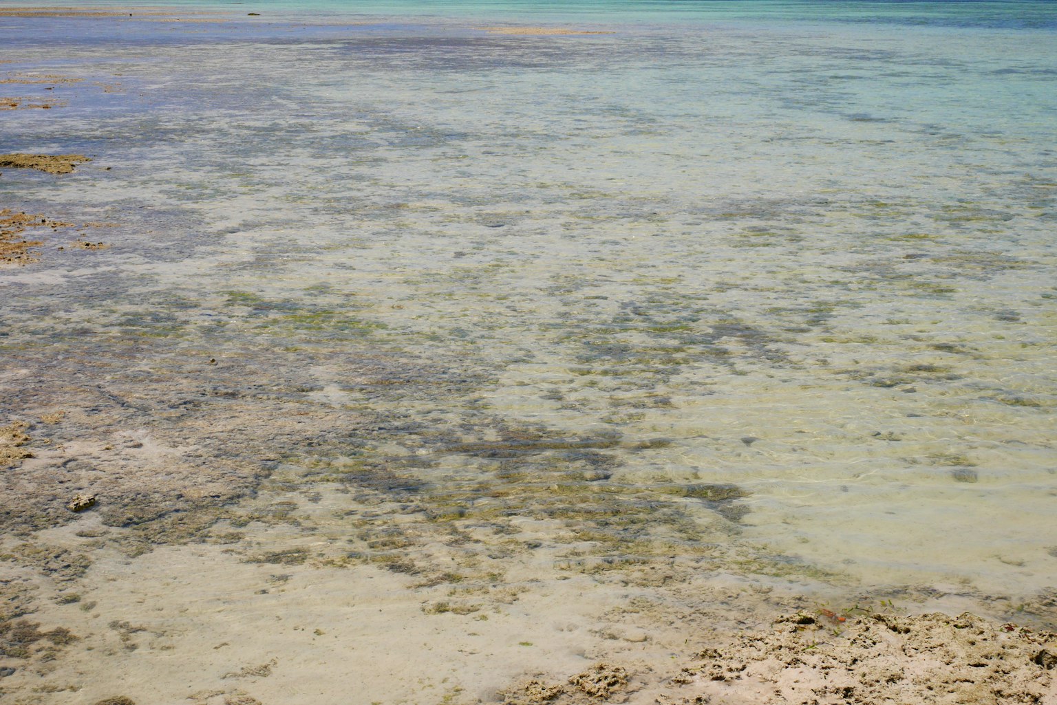 Vue de l'eau peu profonde et claire avec une plage de sable