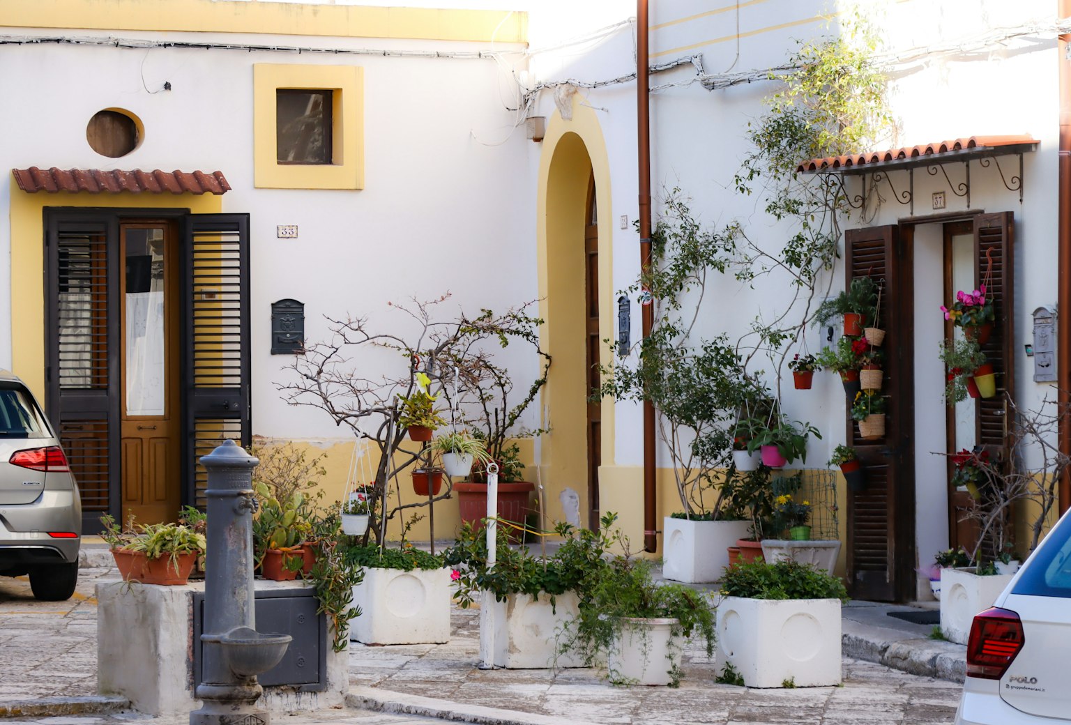 Maisons colorées avec des plantes vibrantes dans une rue pittoresque