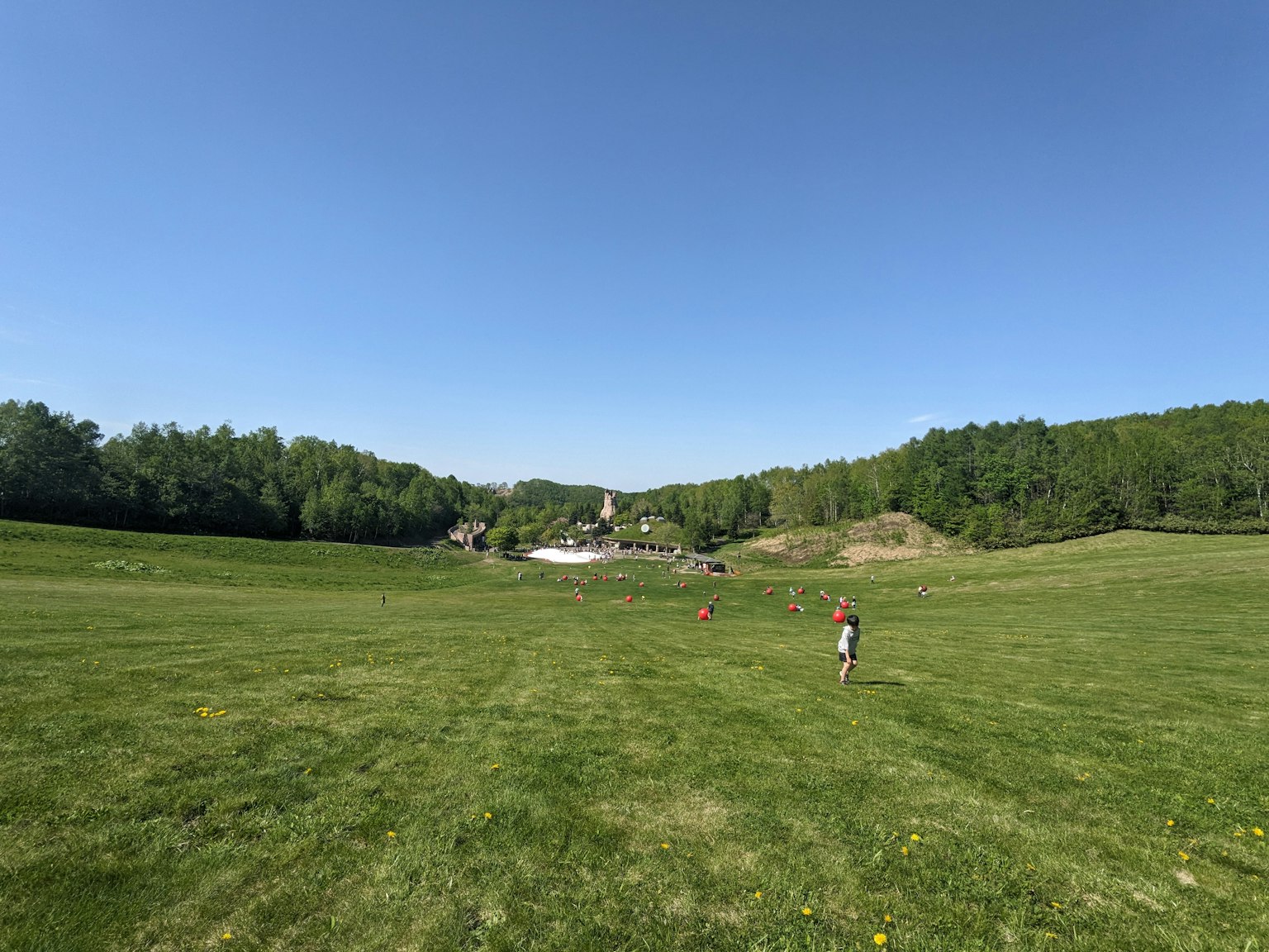 Ein Kind läuft auf einer grünen Wiese mit blauem Himmel und Wald im Hintergrund