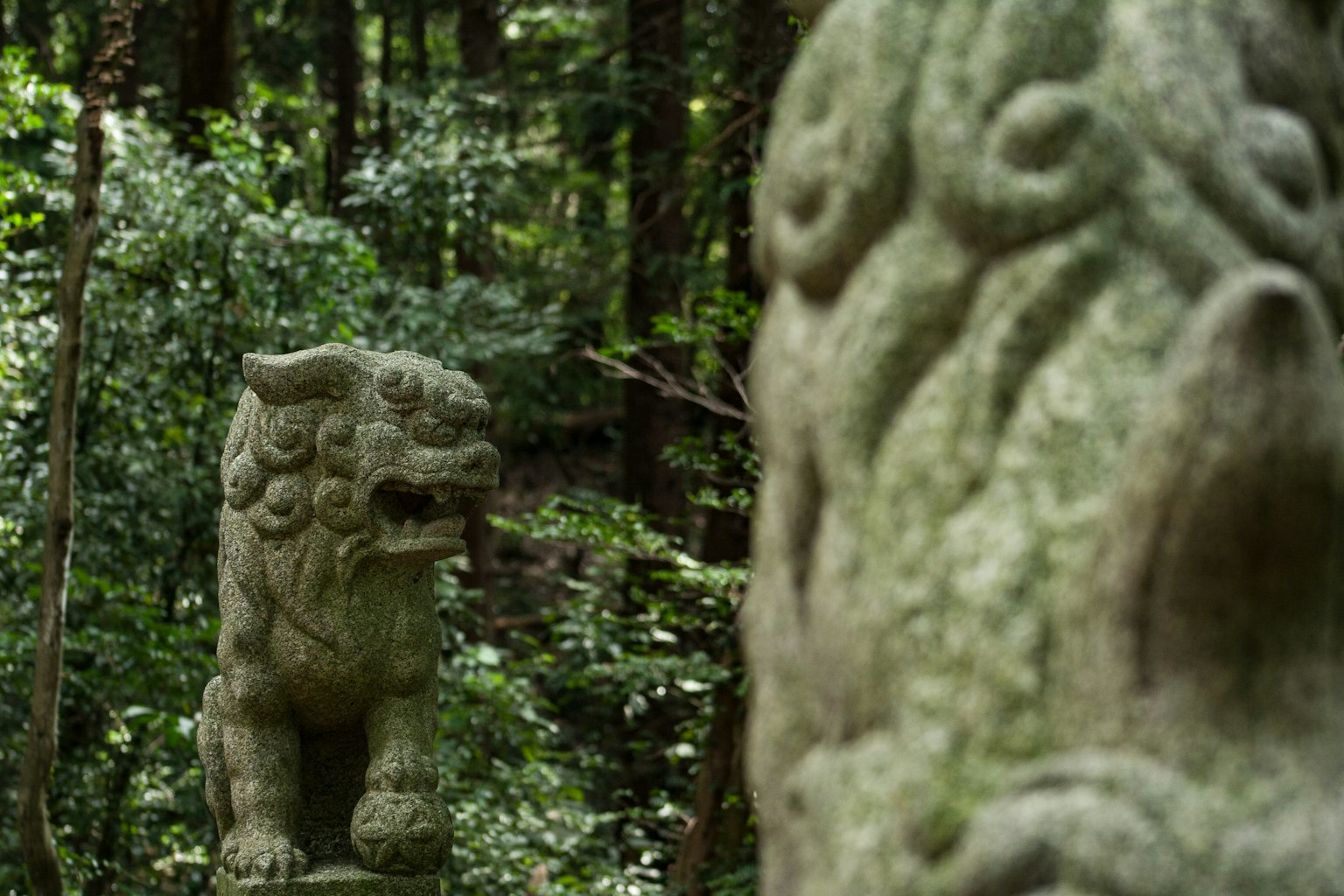 Statua di leone in pietra tra una foresta verde con un pilastro decorativo in pietra
