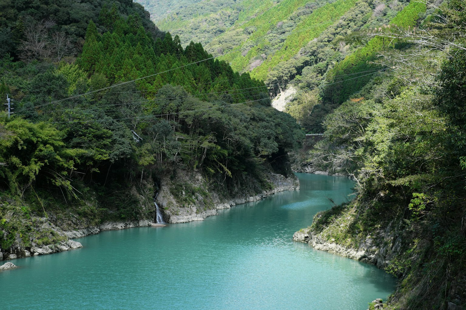 photo-7tUHTdbMgqEo5CWNC8Nx-image