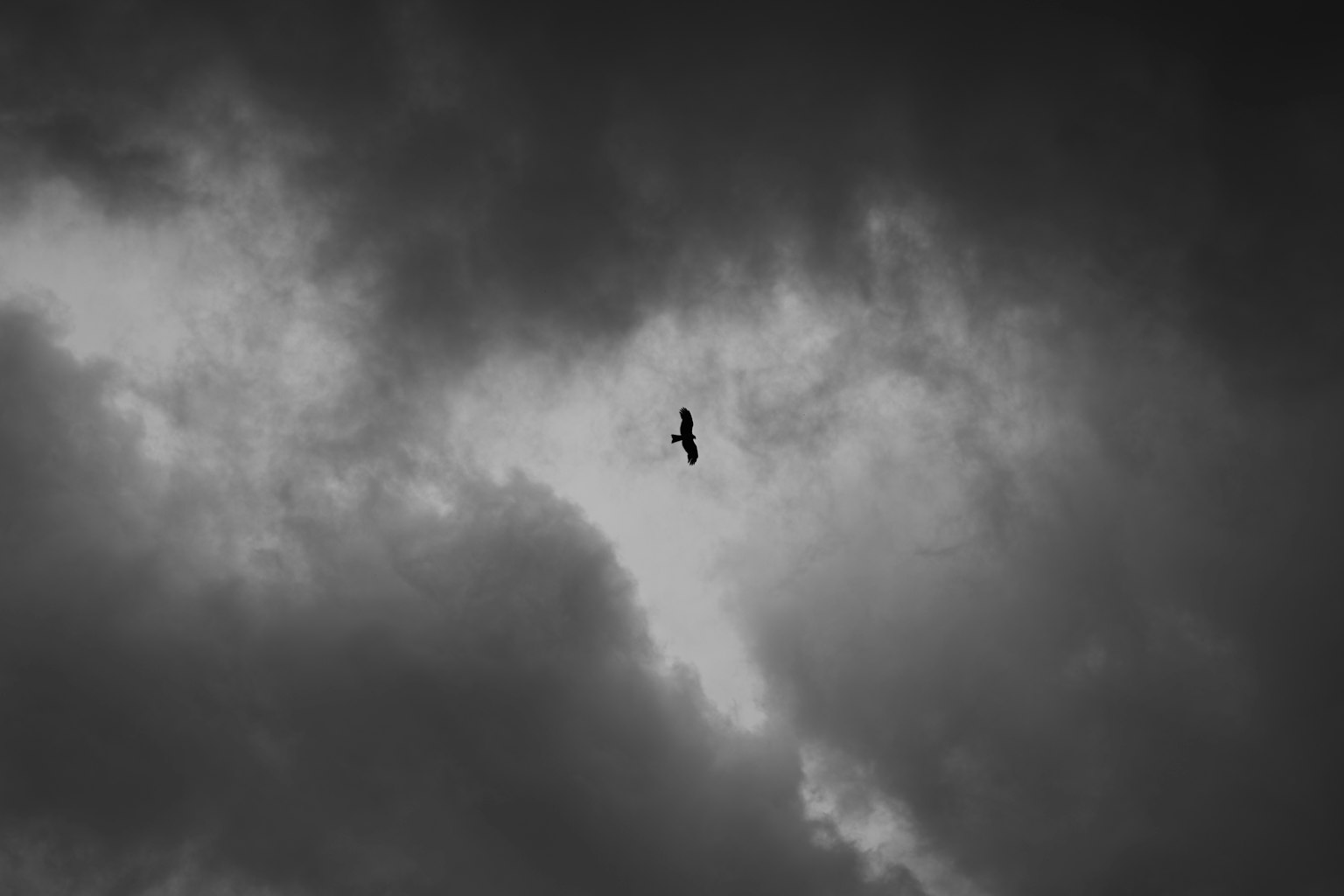 Silhouette d'un oiseau volant à travers des nuages sombres