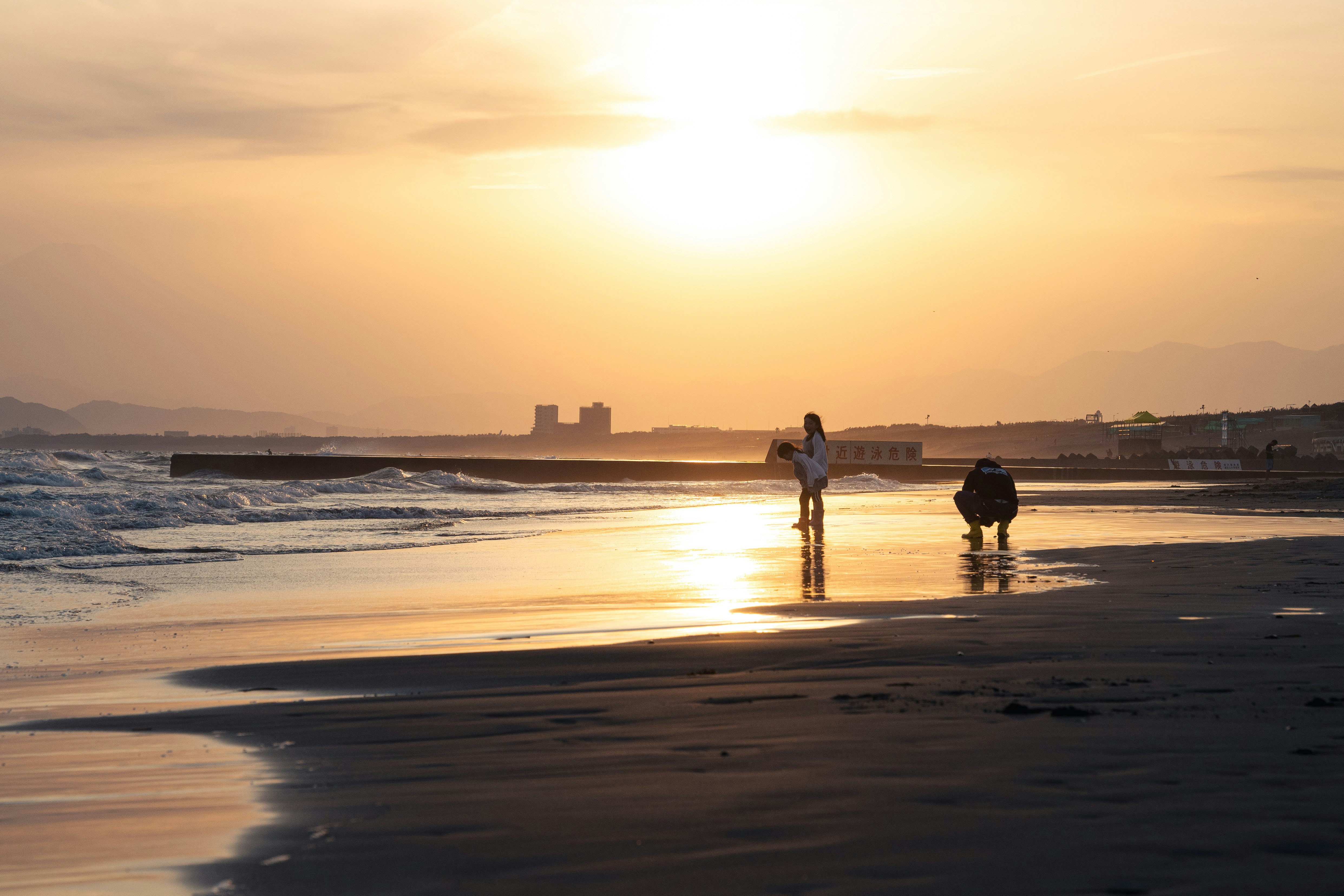 夕日に照らされた海辺を歩く人と犬のいる砂浜