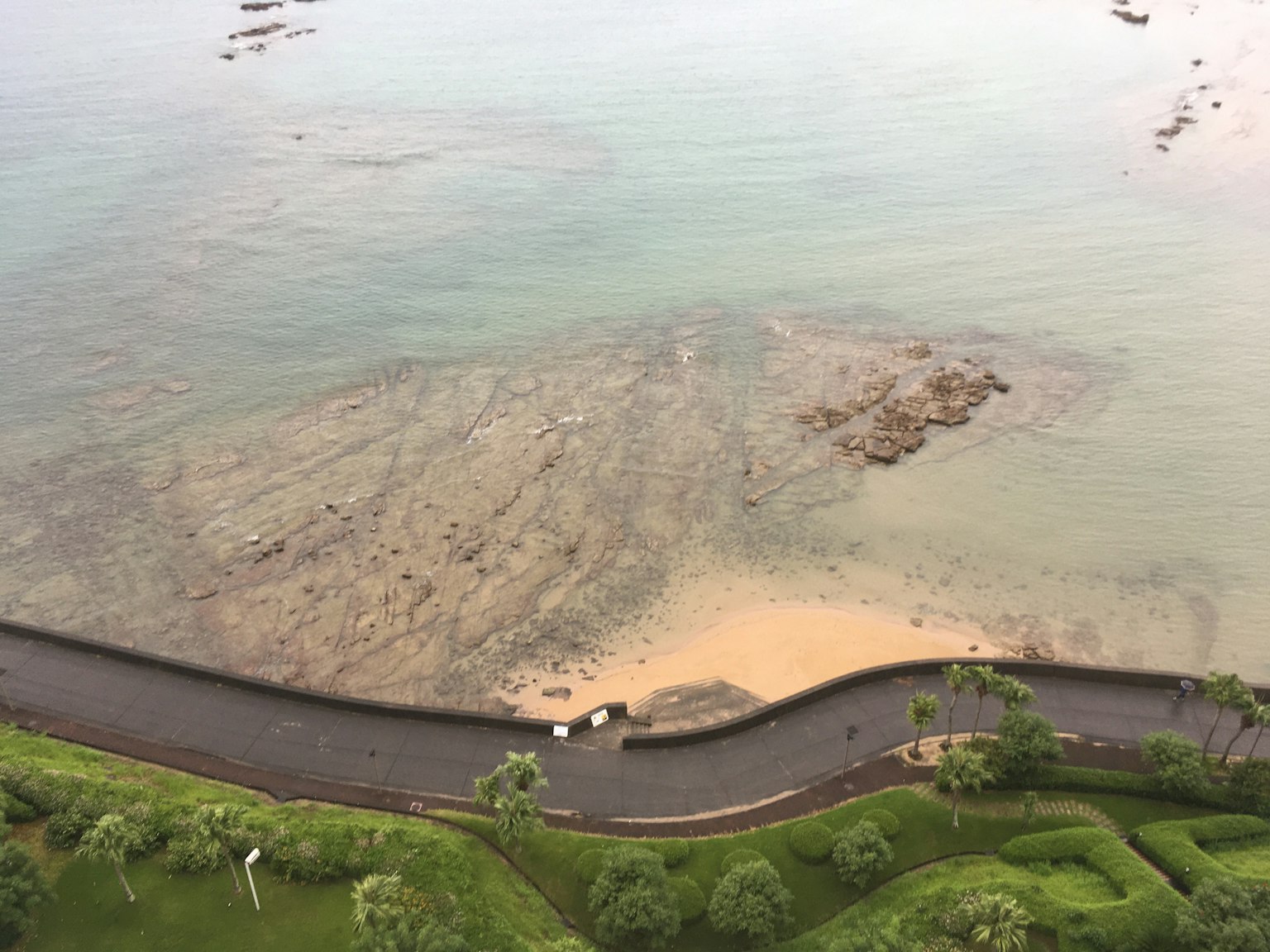 海岸风景的鸟瞰图，水域和郁郁葱葱的绿地