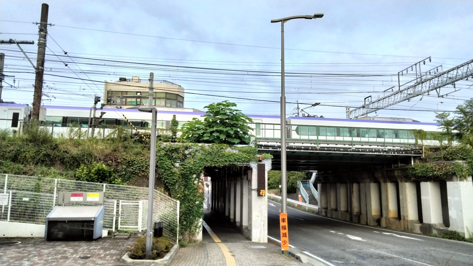 Tren circulando por una vía elevada con vegetación alrededor