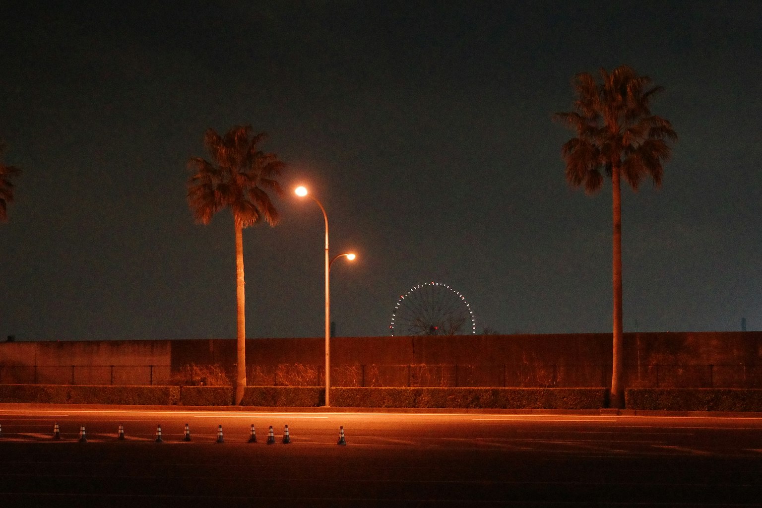 Escena nocturna con palmeras farolas y una noria