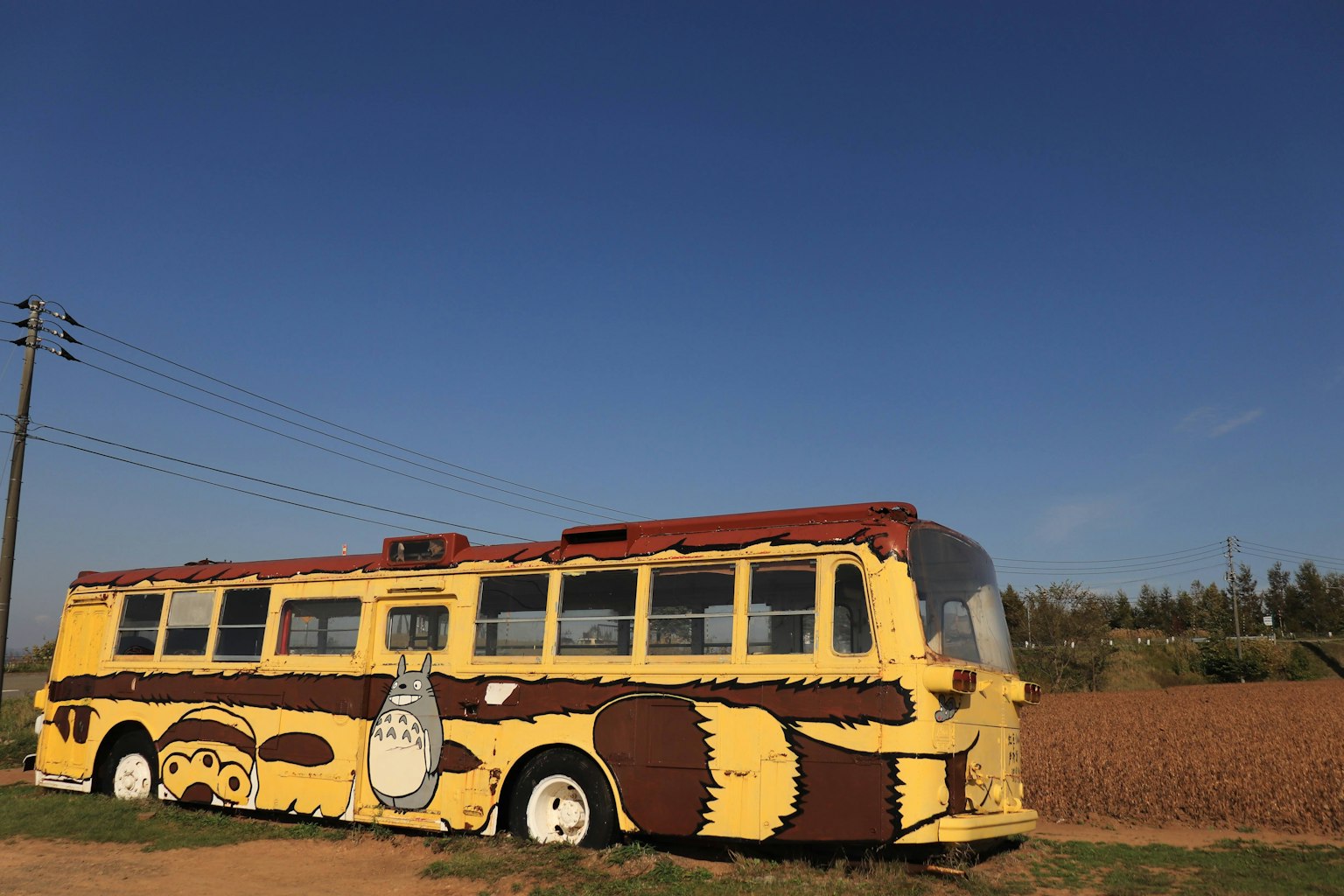 Un autobus giallo con un'opera di Totoro parcheggiato in un'area rurale