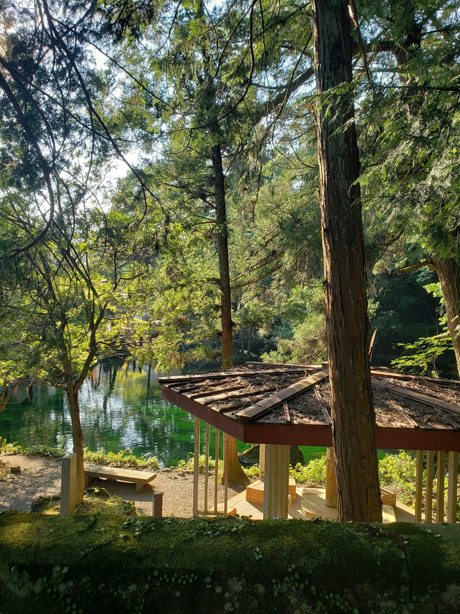กระ cabin ที่เงียบสงบใกล้ทะเลสาบที่เงียบสงบล้อมรอบด้วยพืชพรรณที่เขียวชอุ่ม