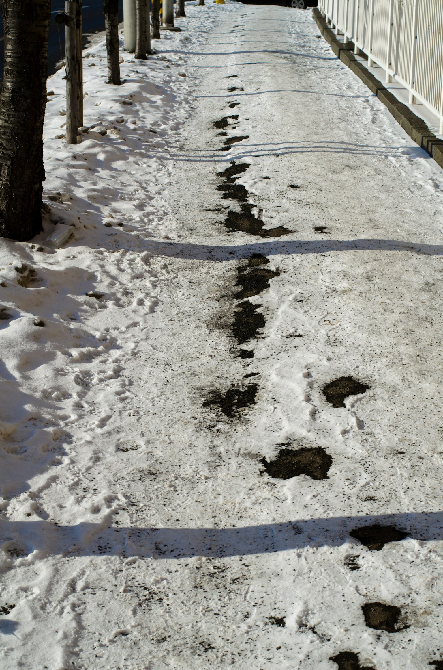 Impronte su un marciapiede coperto di neve con alberi ai lati