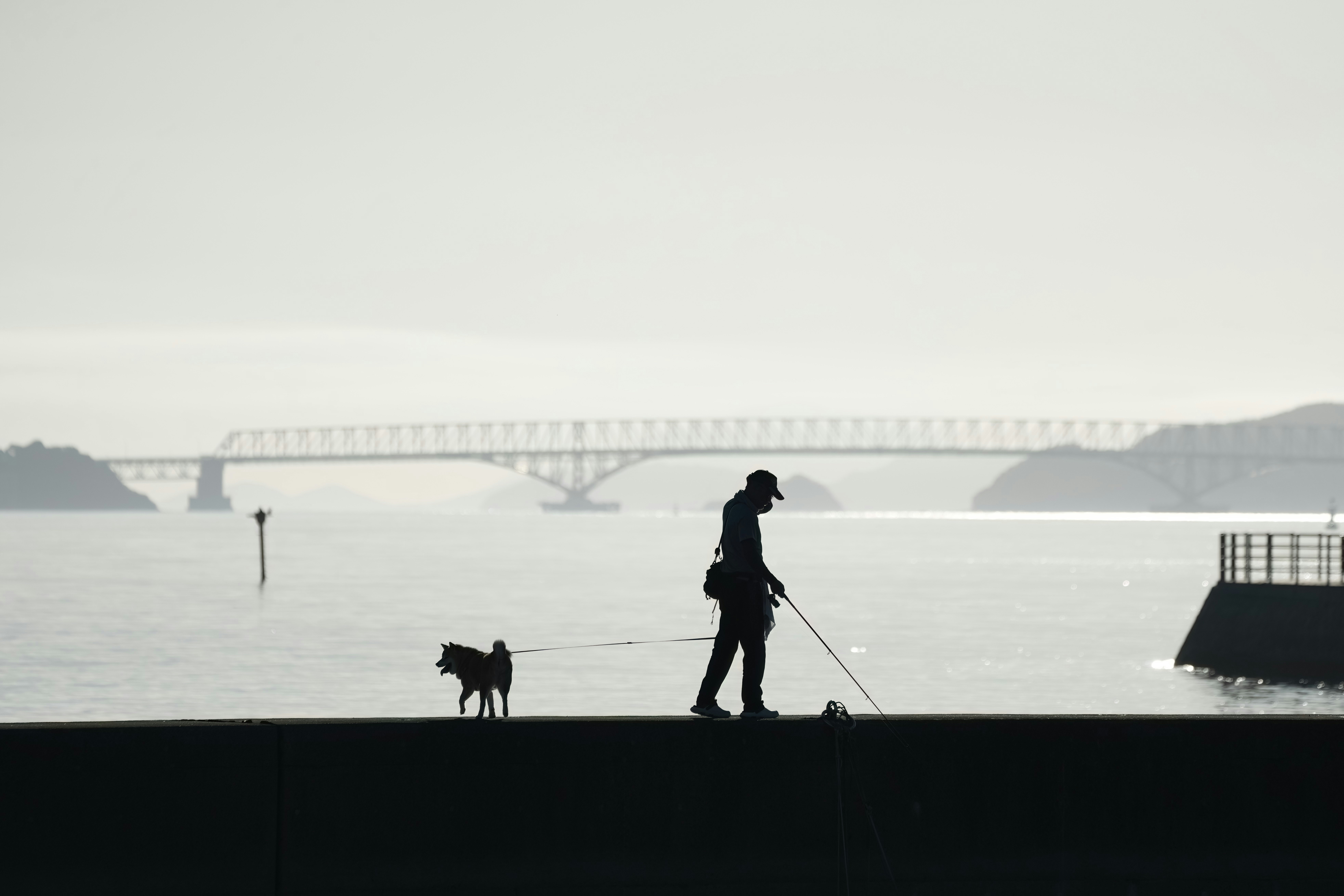 海辺の防波堤で犬と釣りをする人のシルエット