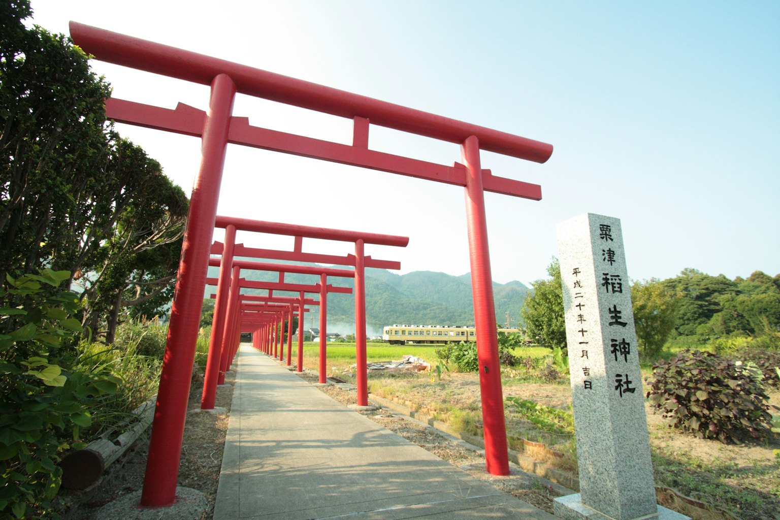 Pathway lined with red torii gates leading to a shrine