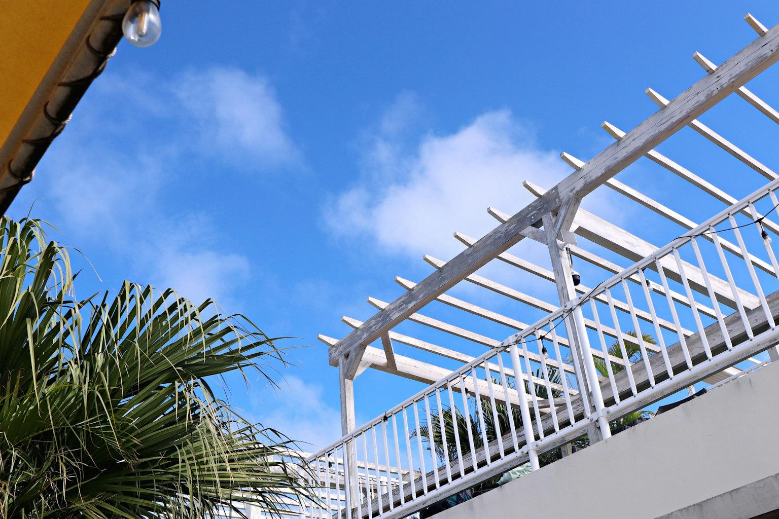 Une vue d'une pergola blanche et d'un palmier sous un ciel bleu
