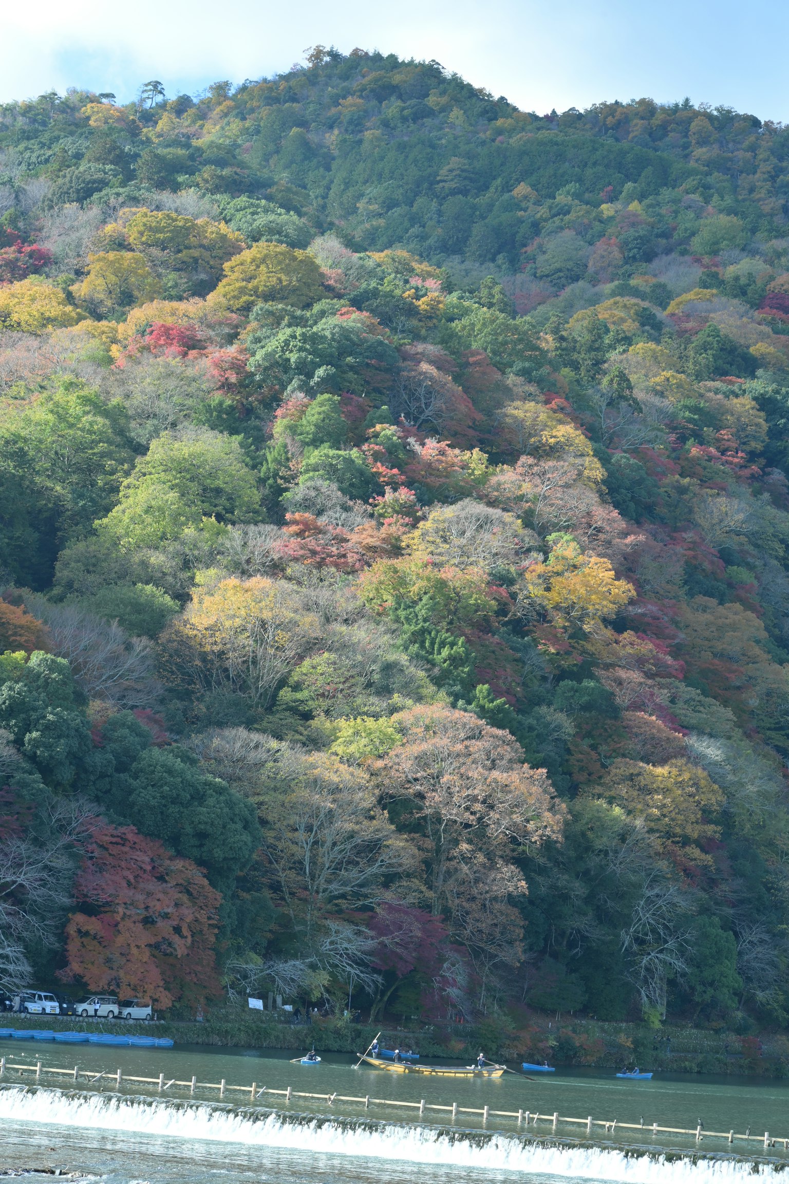 photo-7xYUgUk3BvRbUj1O9LLt-image