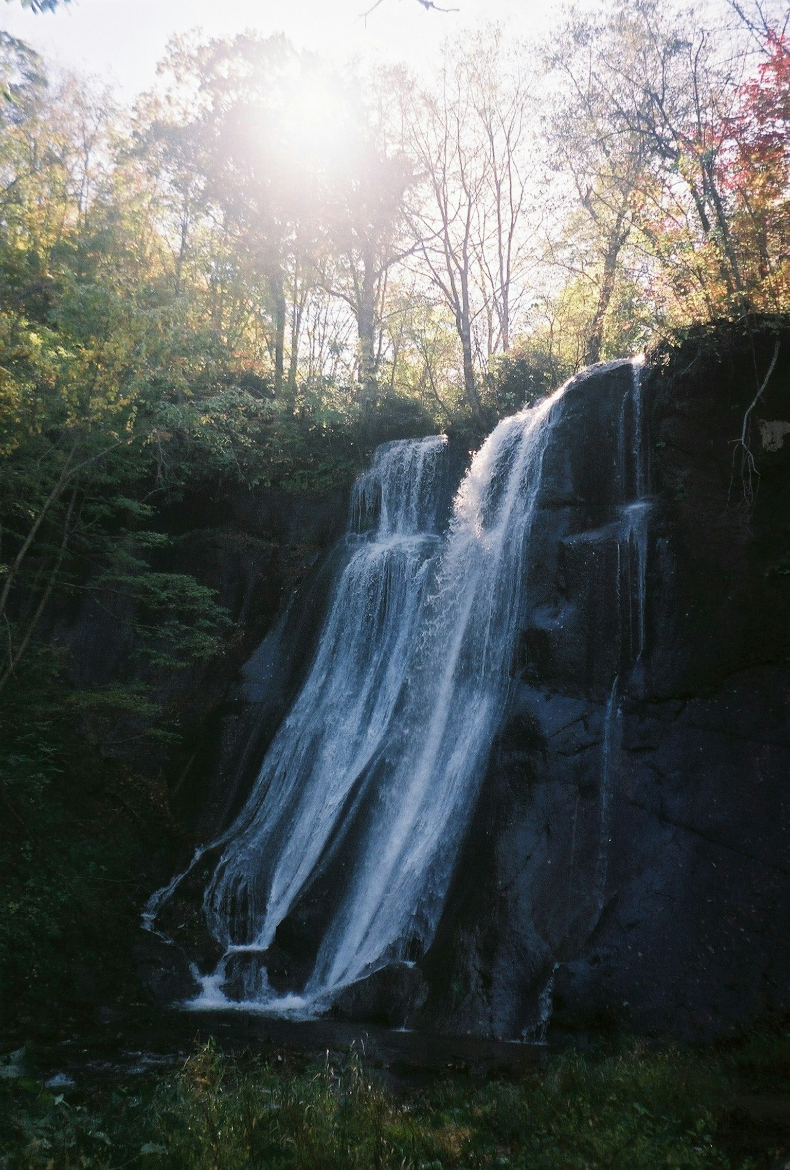 Air terjun mengalir dari tebing berbatu dikelilingi oleh vegetasi subur dan cahaya lembut