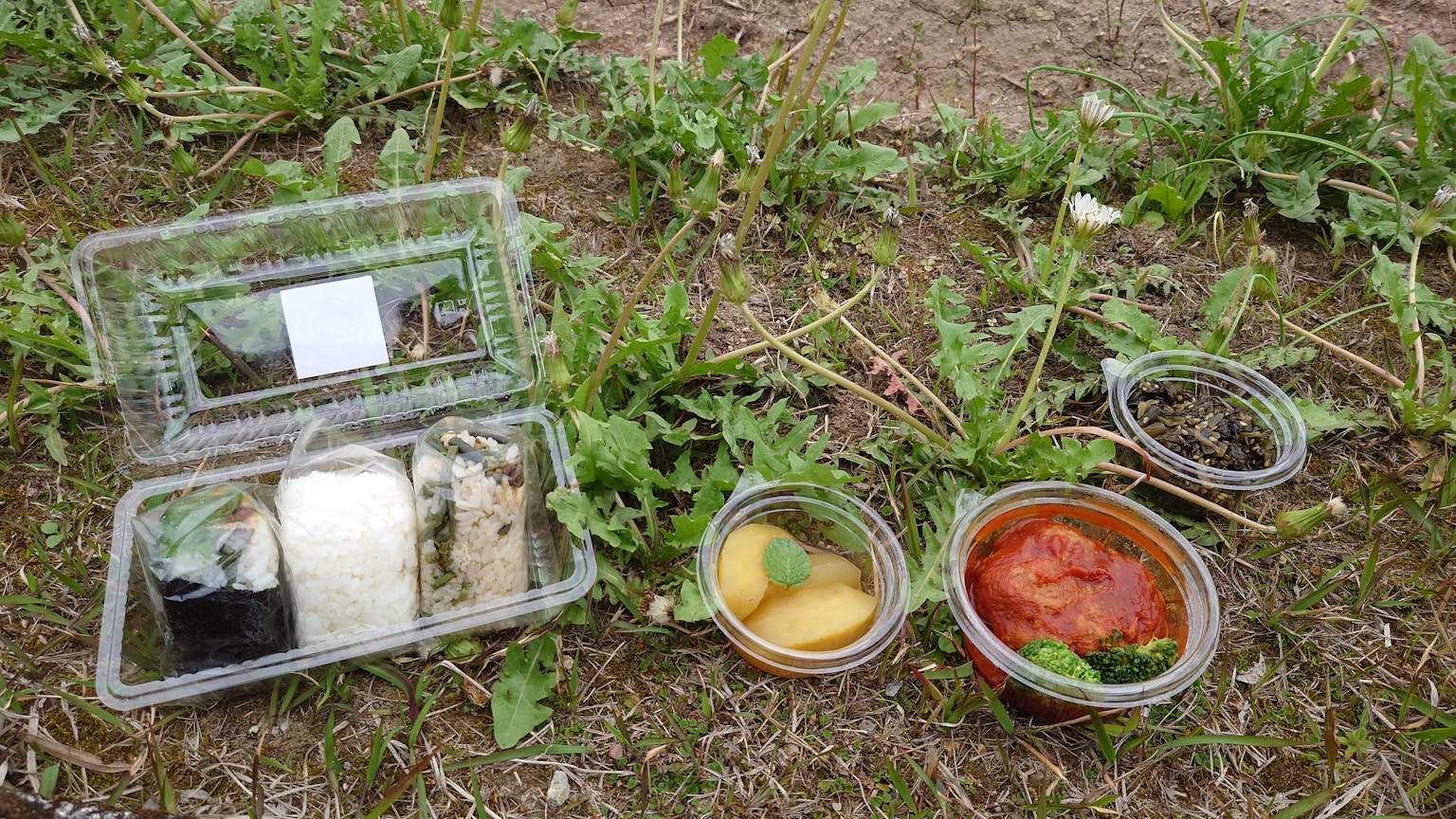 草の上に置かれたお弁当箱と小皿の料理