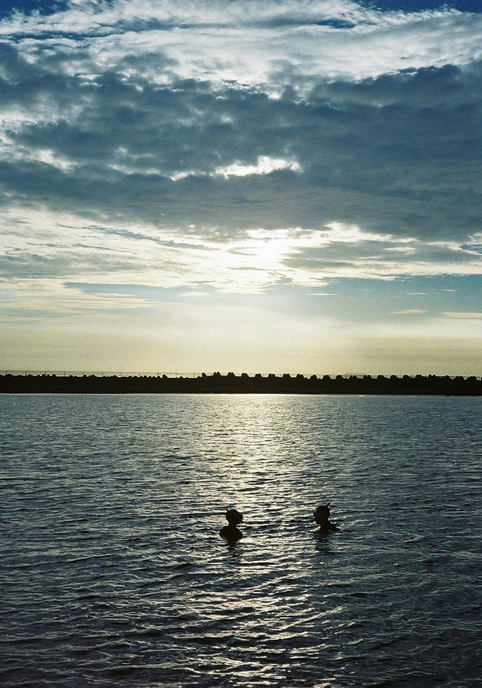 Silhouette di due persone in piedi in acqua calma con un bel tramonto