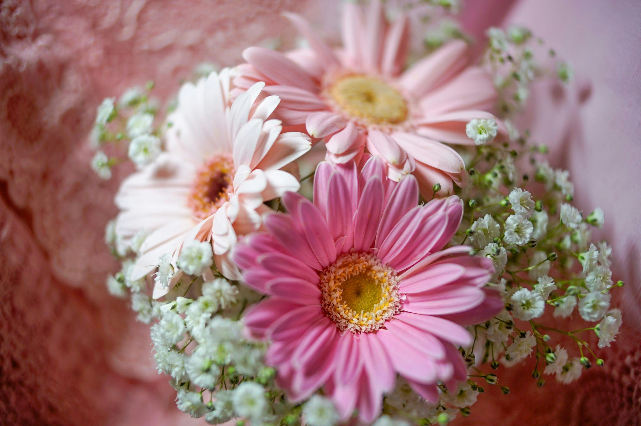 bouquet di gerbere rosa e bianche con piccoli fiori