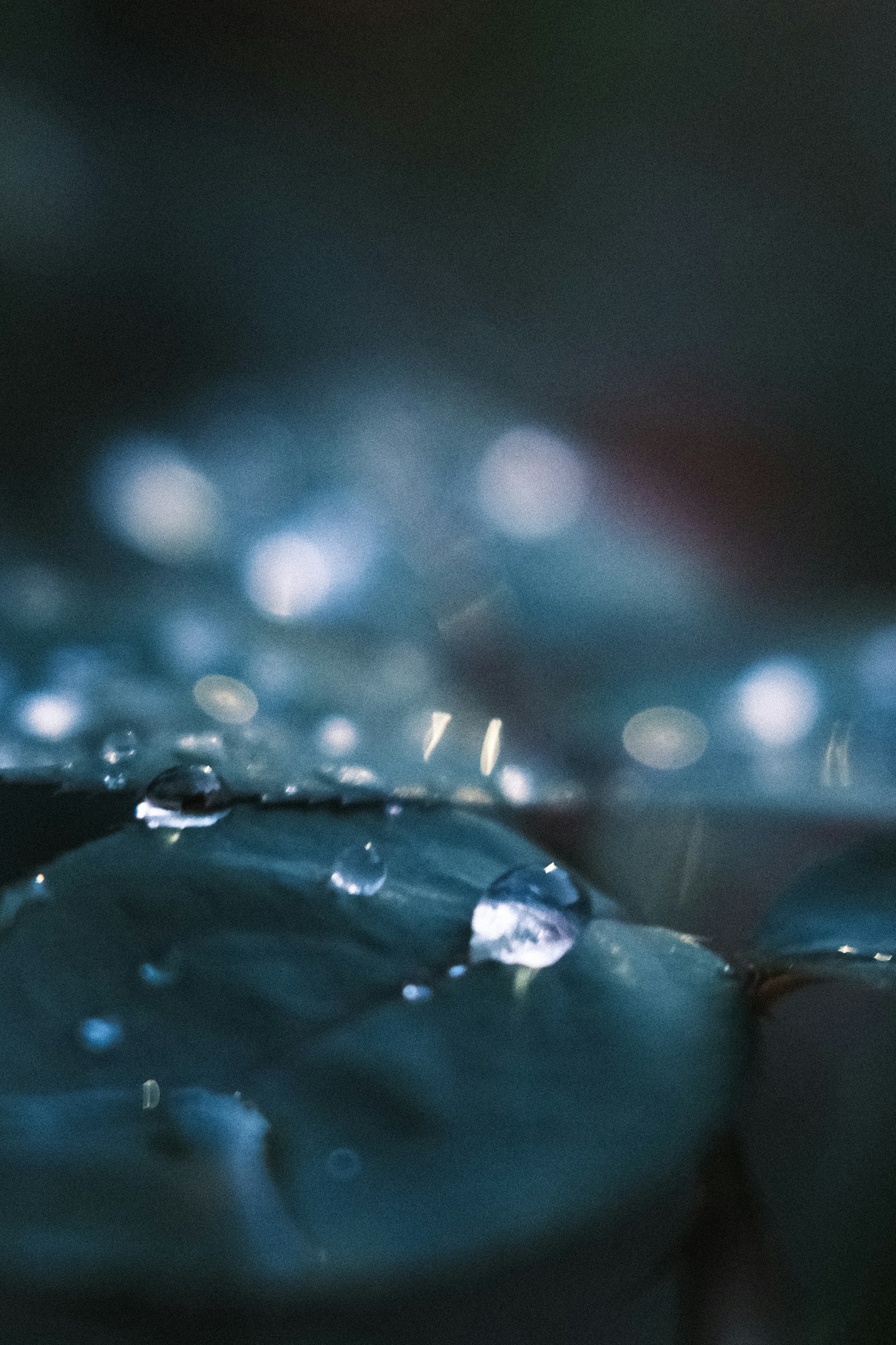 特寫圖像，水滴在葉子上