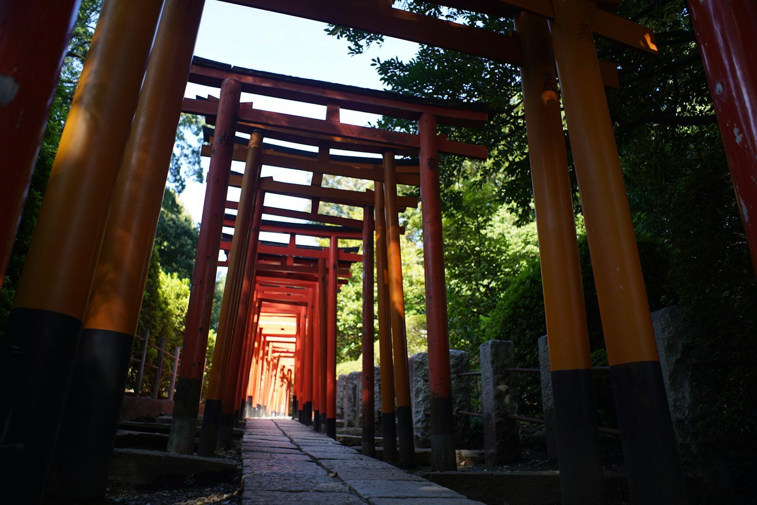 神社中排列著紅色鳥居的道路