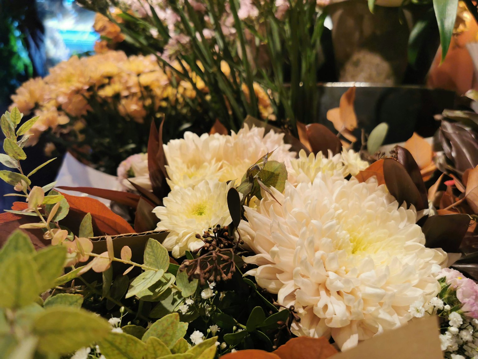 A bouquet featuring white flowers and green leaves elegantly arranged