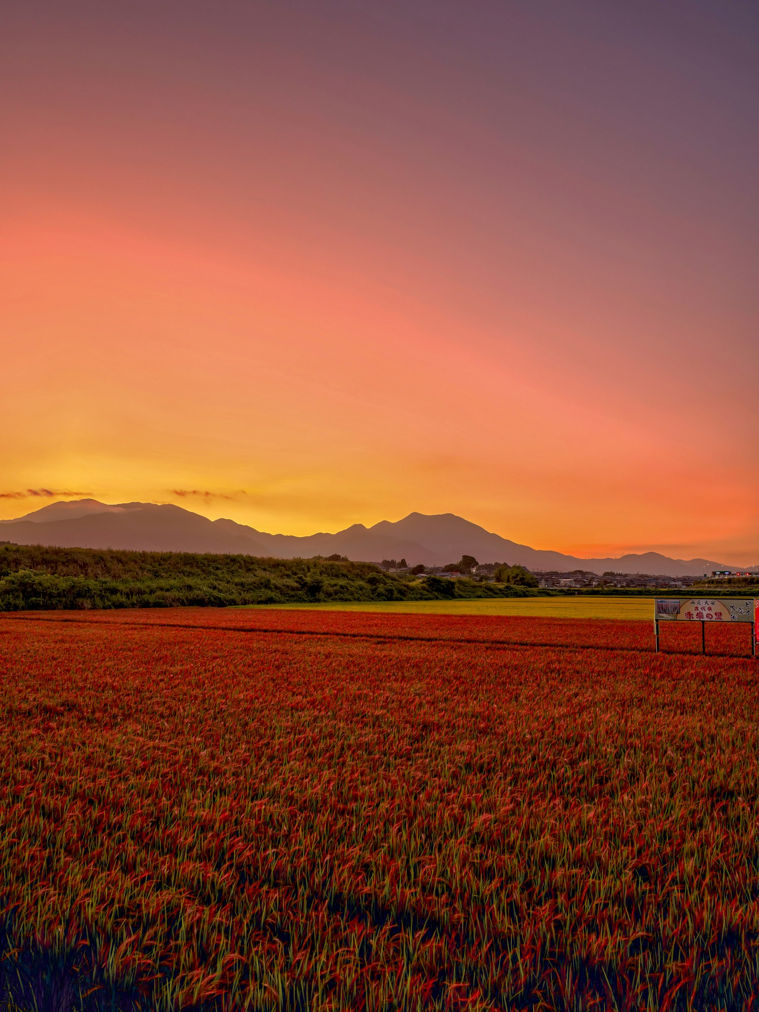 Pemandangan pedesaan yang indah dengan langit senja yang cerah dan gunung di kejauhan