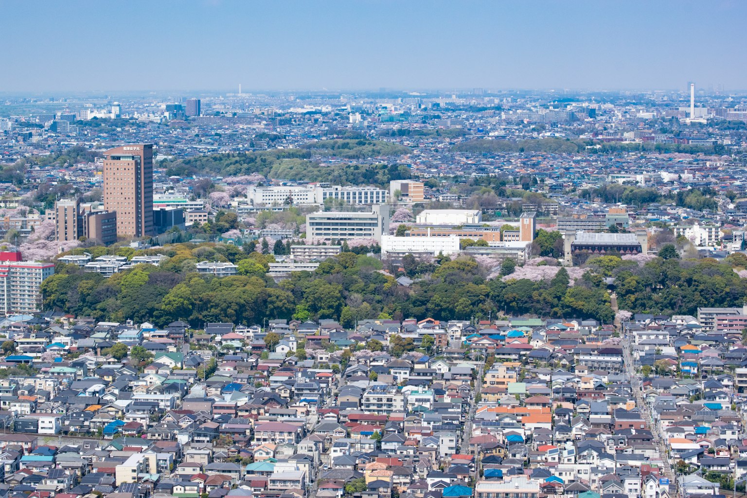 城市景观的全景，包括建筑和绿树成荫的公园