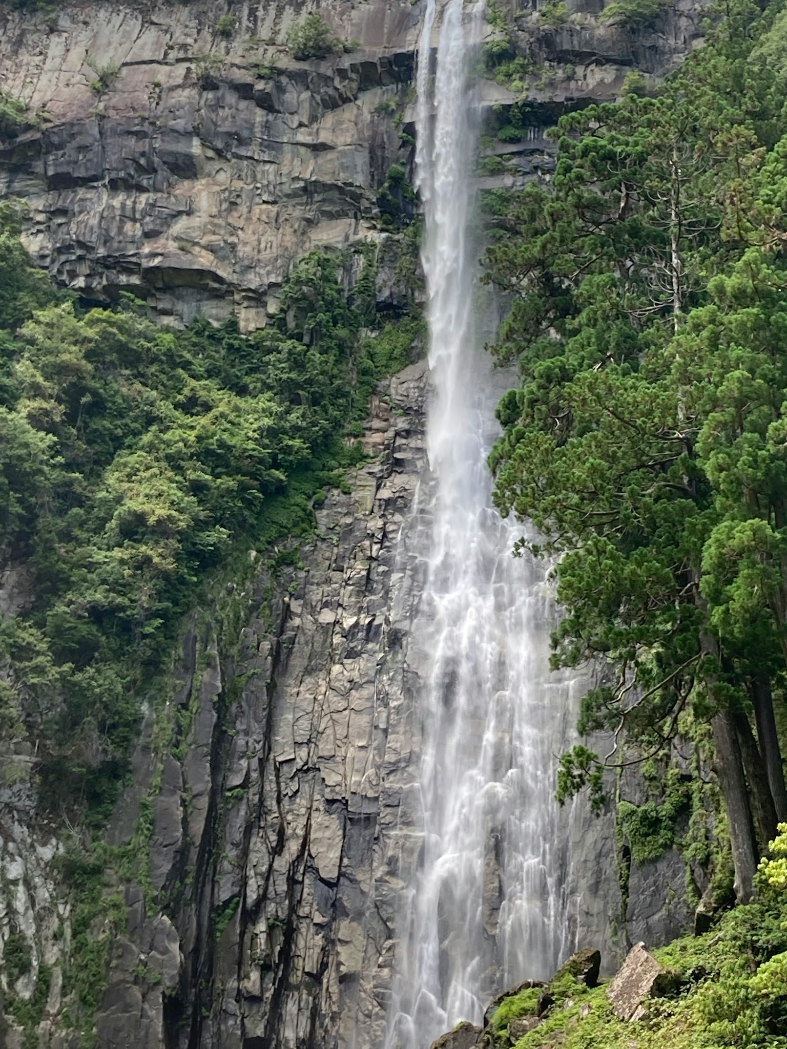 瀑布从岩石悬崖上流下，周围环绕着郁郁葱葱的绿树
