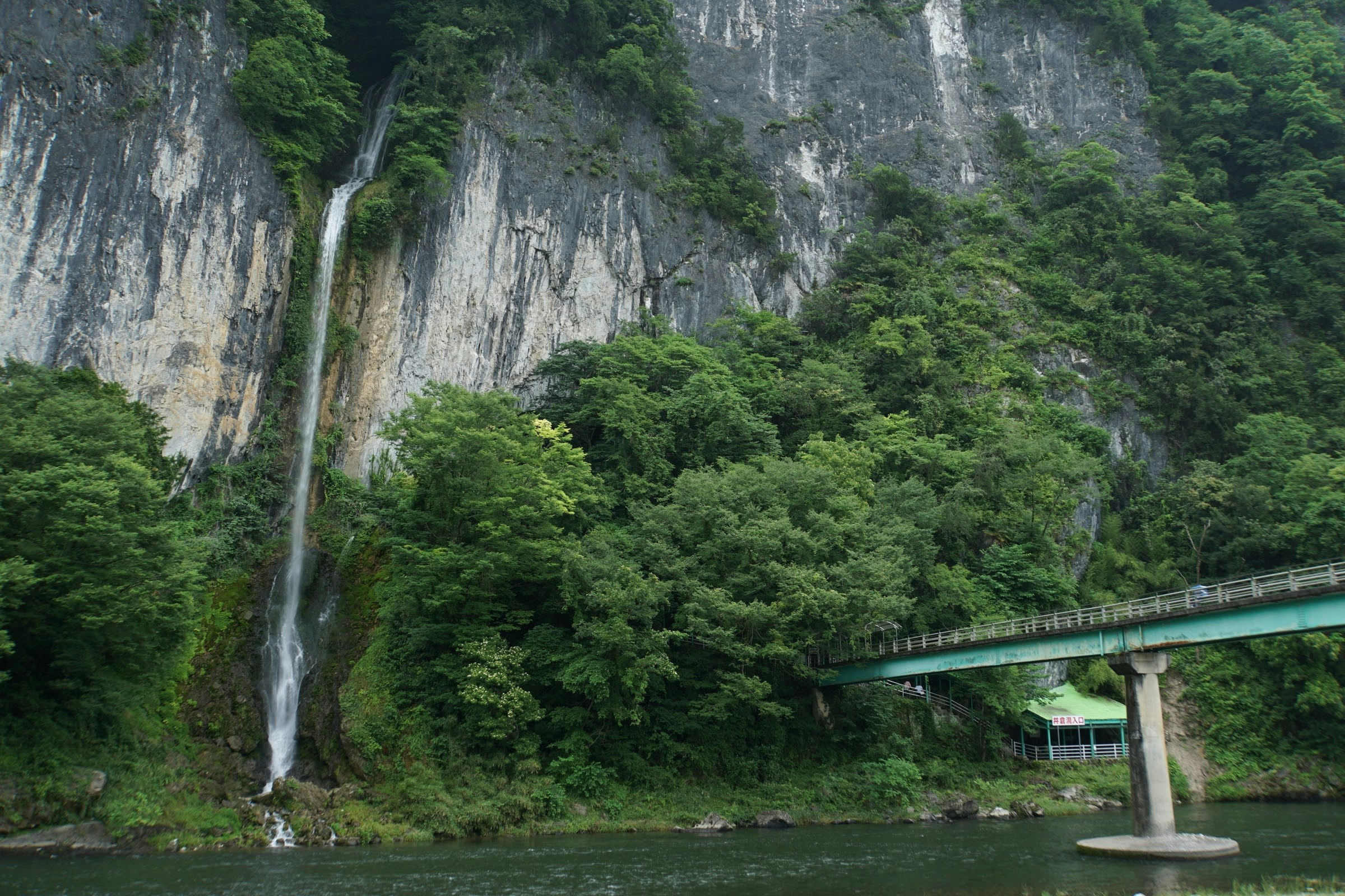 渓谷の滝と緑の森、川にかかる橋の風景