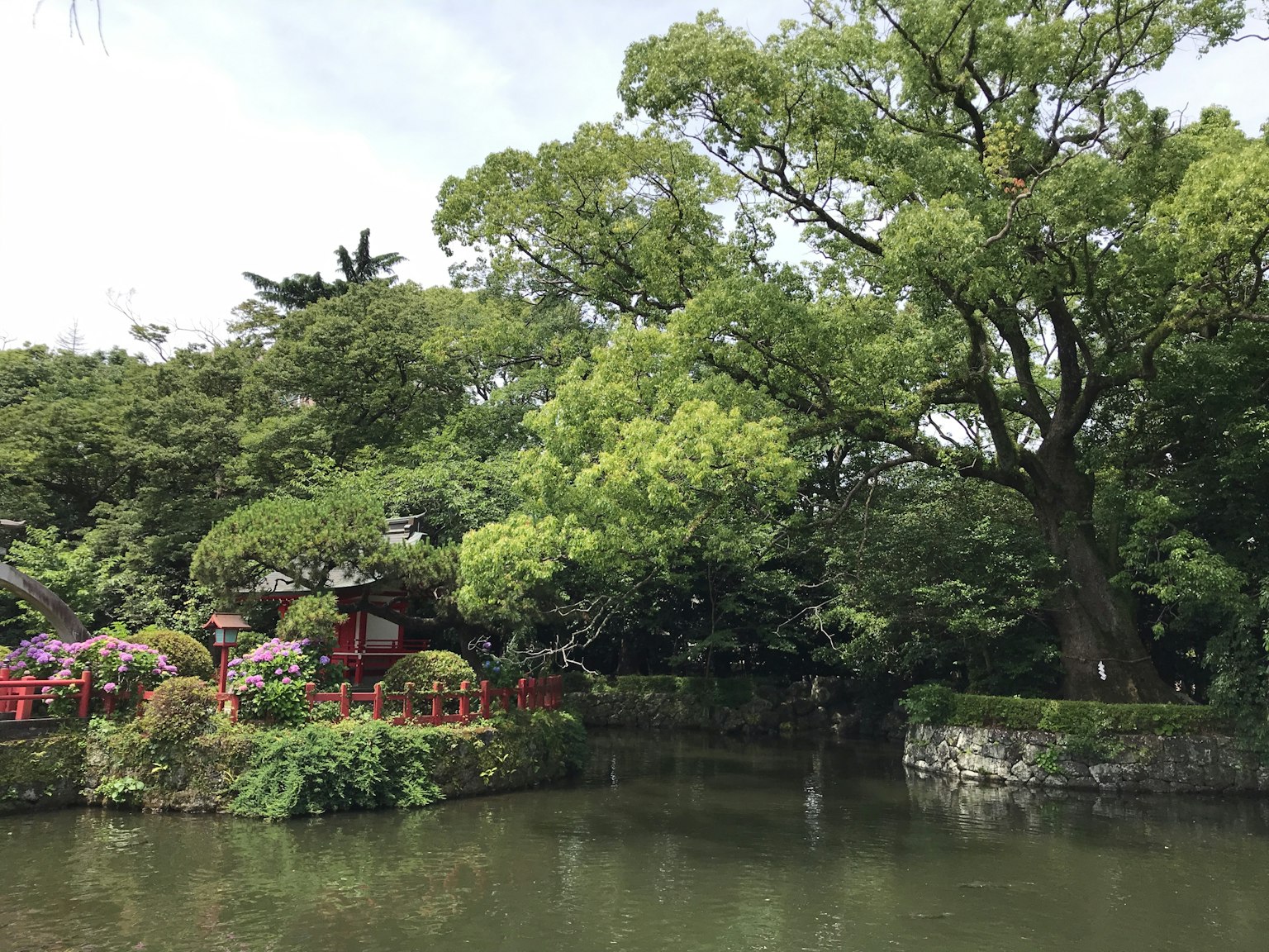 Vue sereine d'un étang entouré d'arbres luxuriants et de fleurs en fleurs