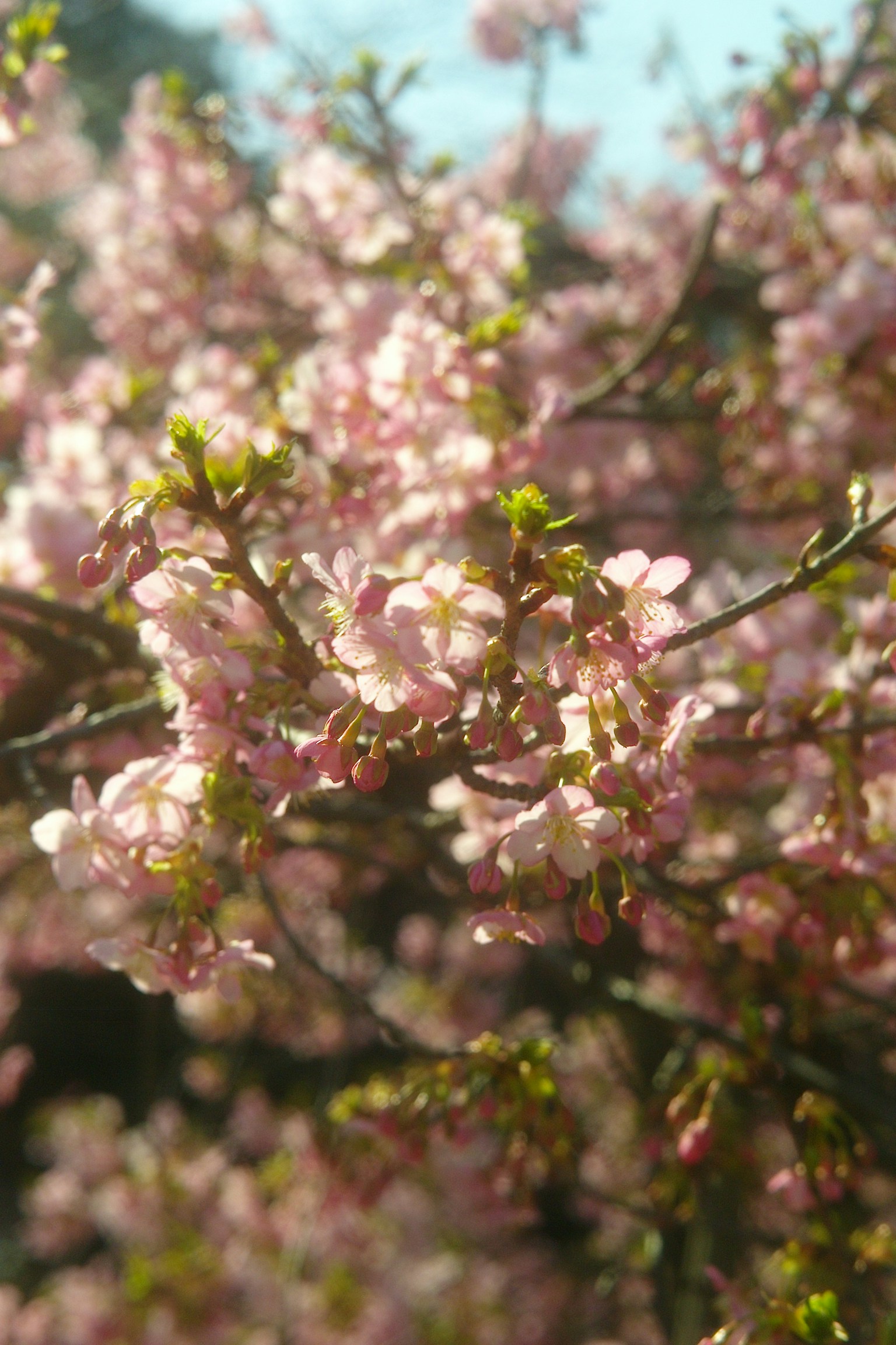 photo-82jI1xitPae27eTXF0Od-image