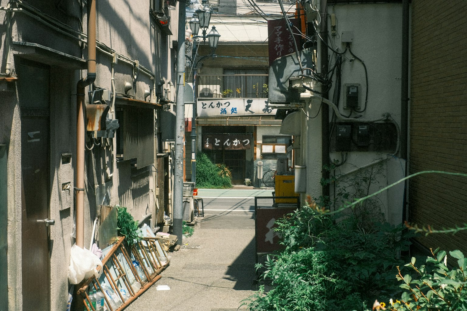 Narrow alley with old buildings and greenery