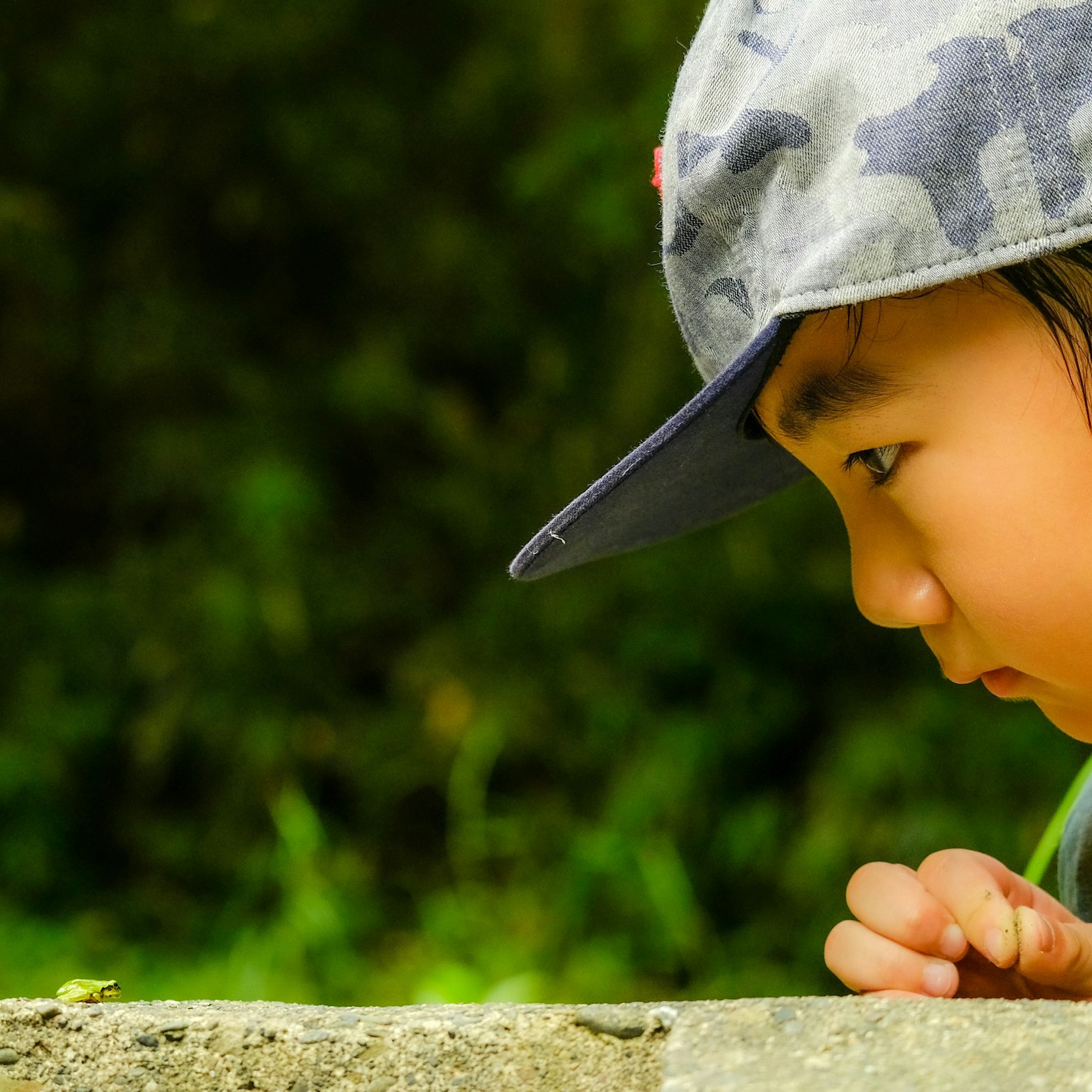 Un niño con una gorra observando de cerca una pequeña criatura sobre una piedra
