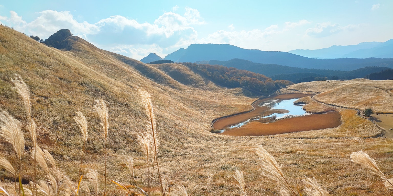 Paesaggio sereno con un fiume tortuoso e prati dorate