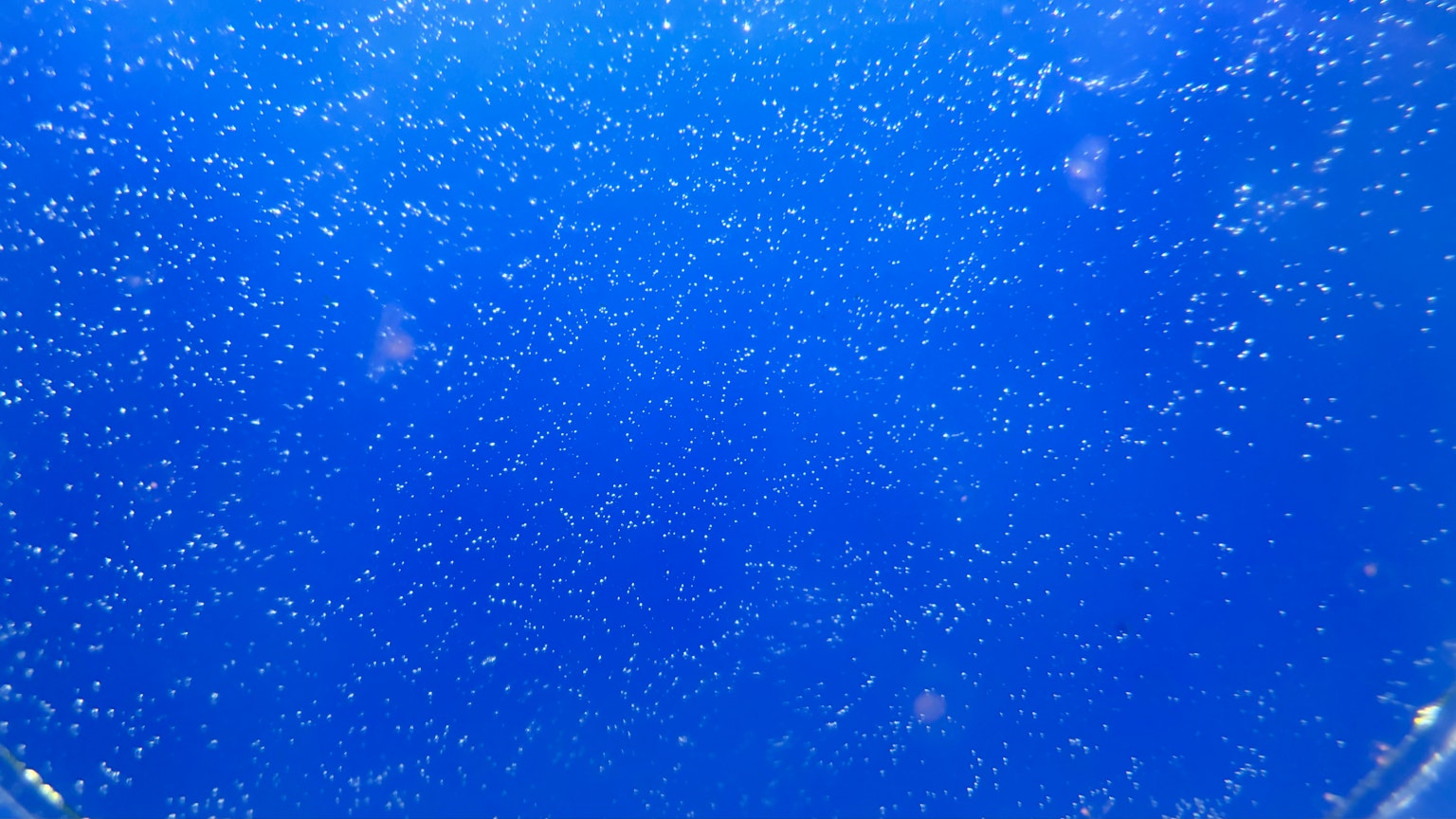Eine Ansammlung kleiner Blasen, die auf einem blauen Hintergrund schwimmen