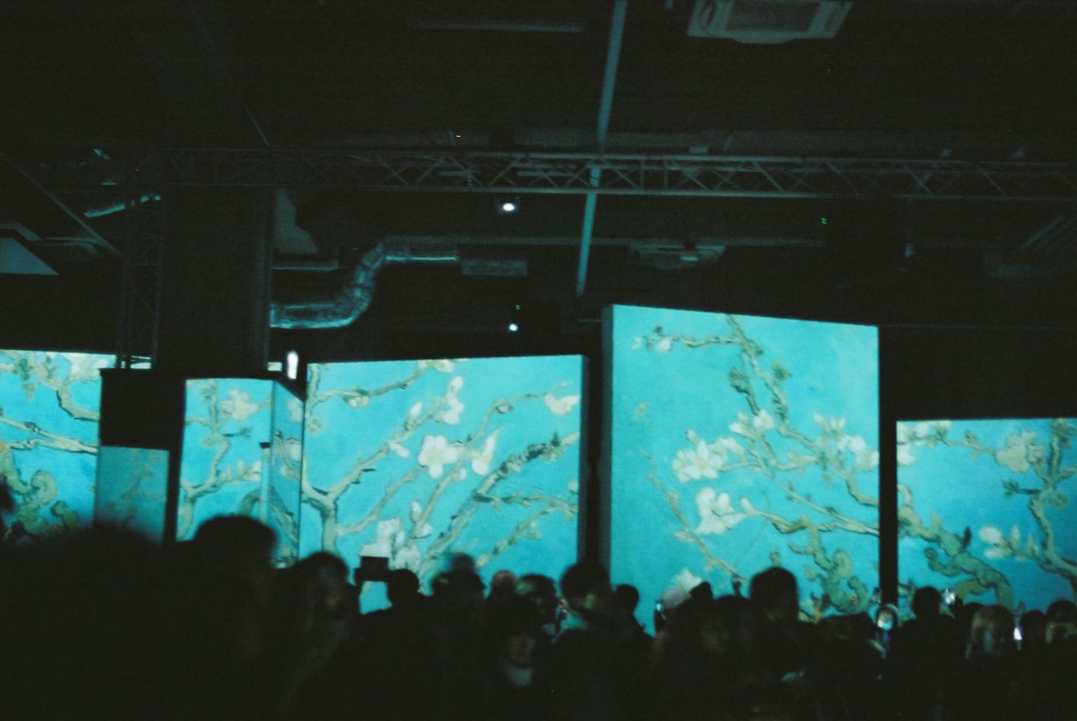 Installazione artistica con fiori bianchi su sfondo blu e pubblico