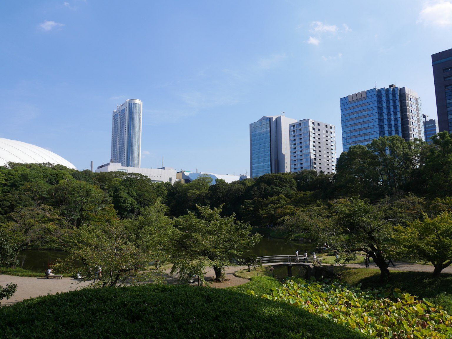 城市天际线与高楼大厦和郁郁葱葱的公园景观在蓝天之下