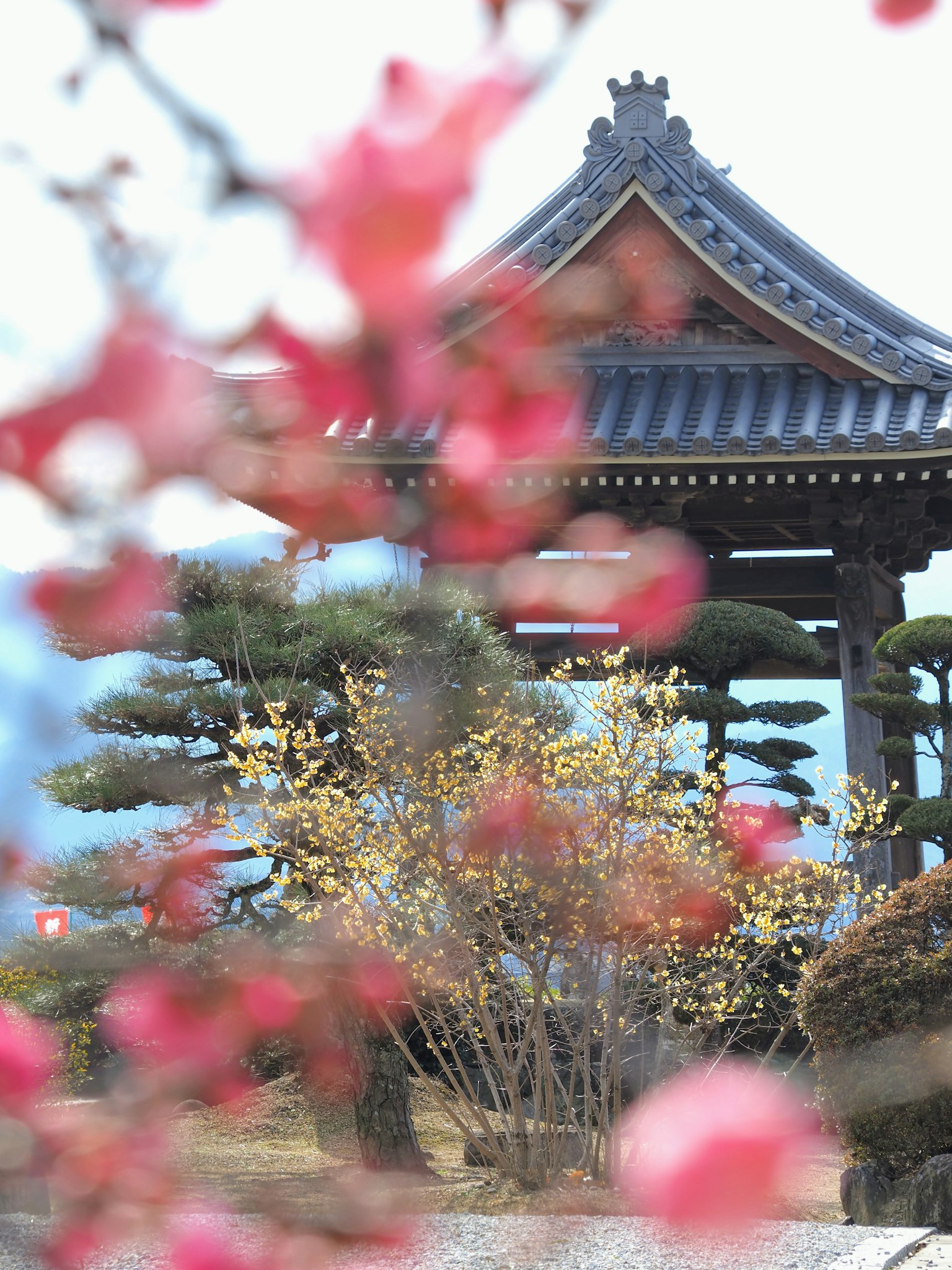 傳統日本建築被生機盎然的花朵環繞在寧靜的花園中