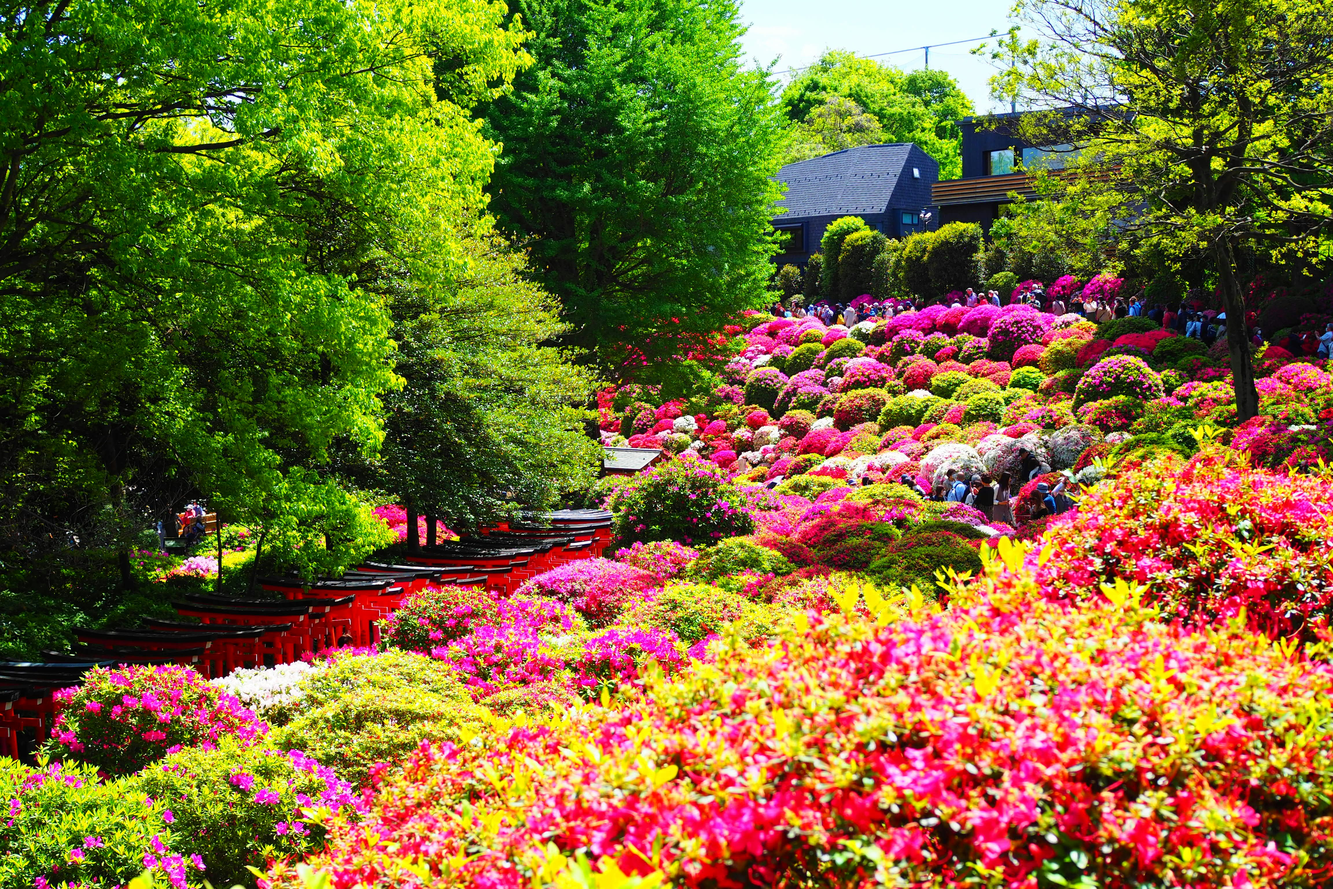 色とりどりの花壇が広がる庭園の景色
